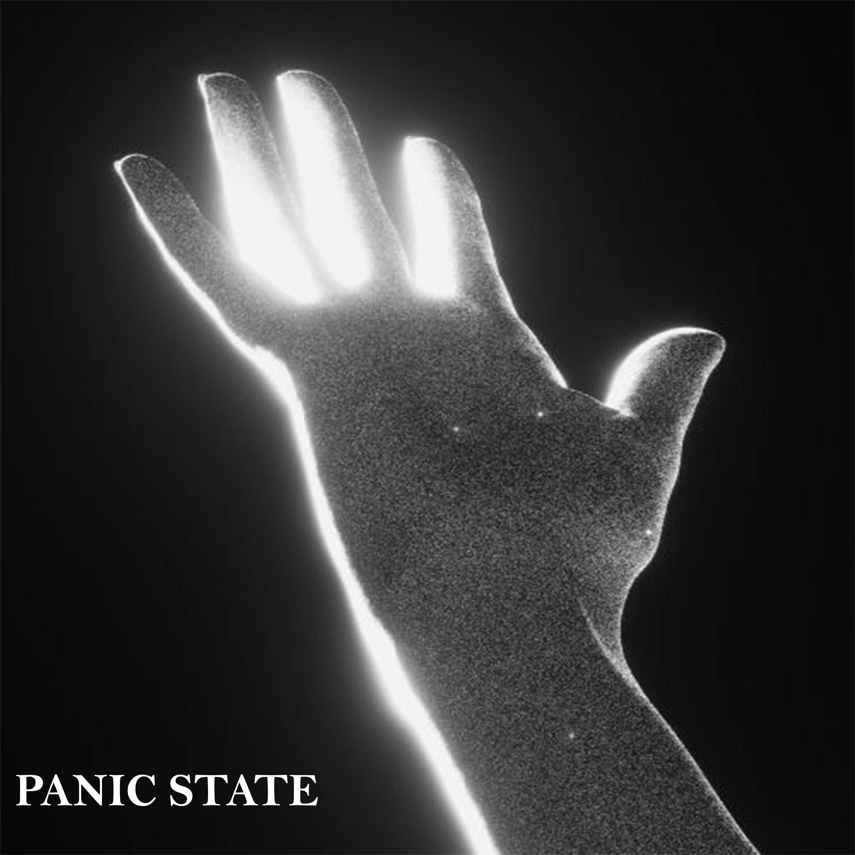 Постер альбома PANIC STATE