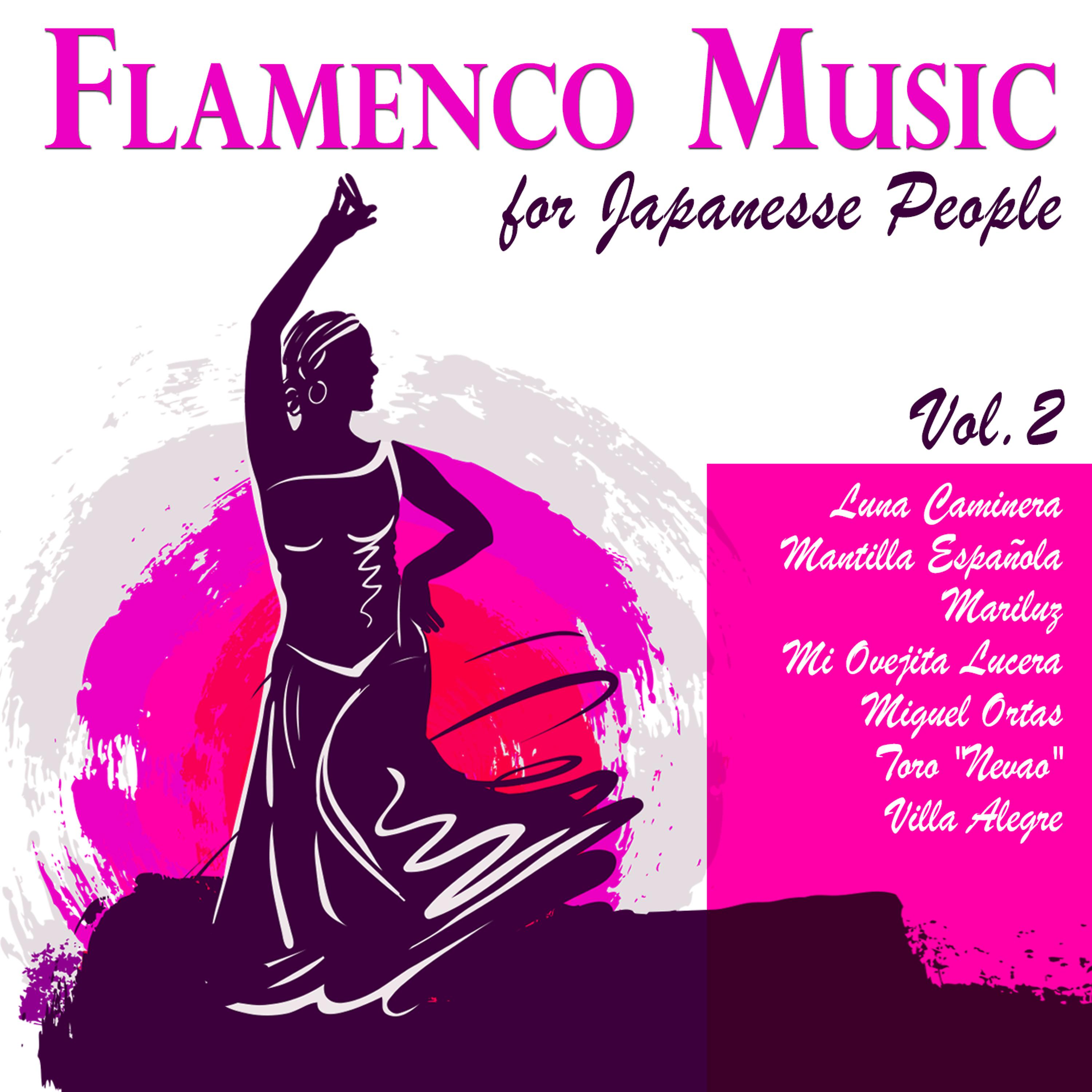 Постер альбома Flamenco Music for Japanese People Vol. 2