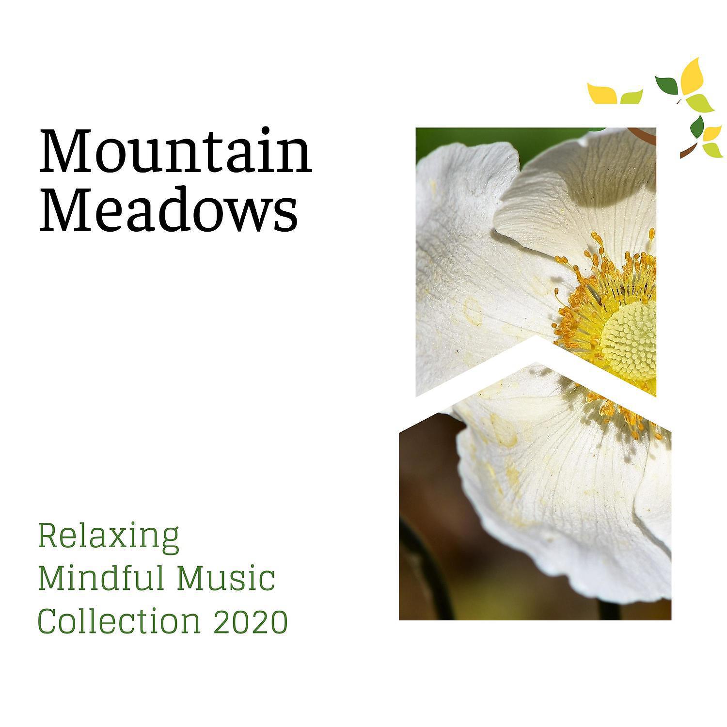 Постер альбома Mountain Meadows - Relaxing Mindful Music Collection 2020