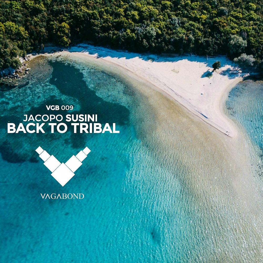 Постер альбома Back To Tribal