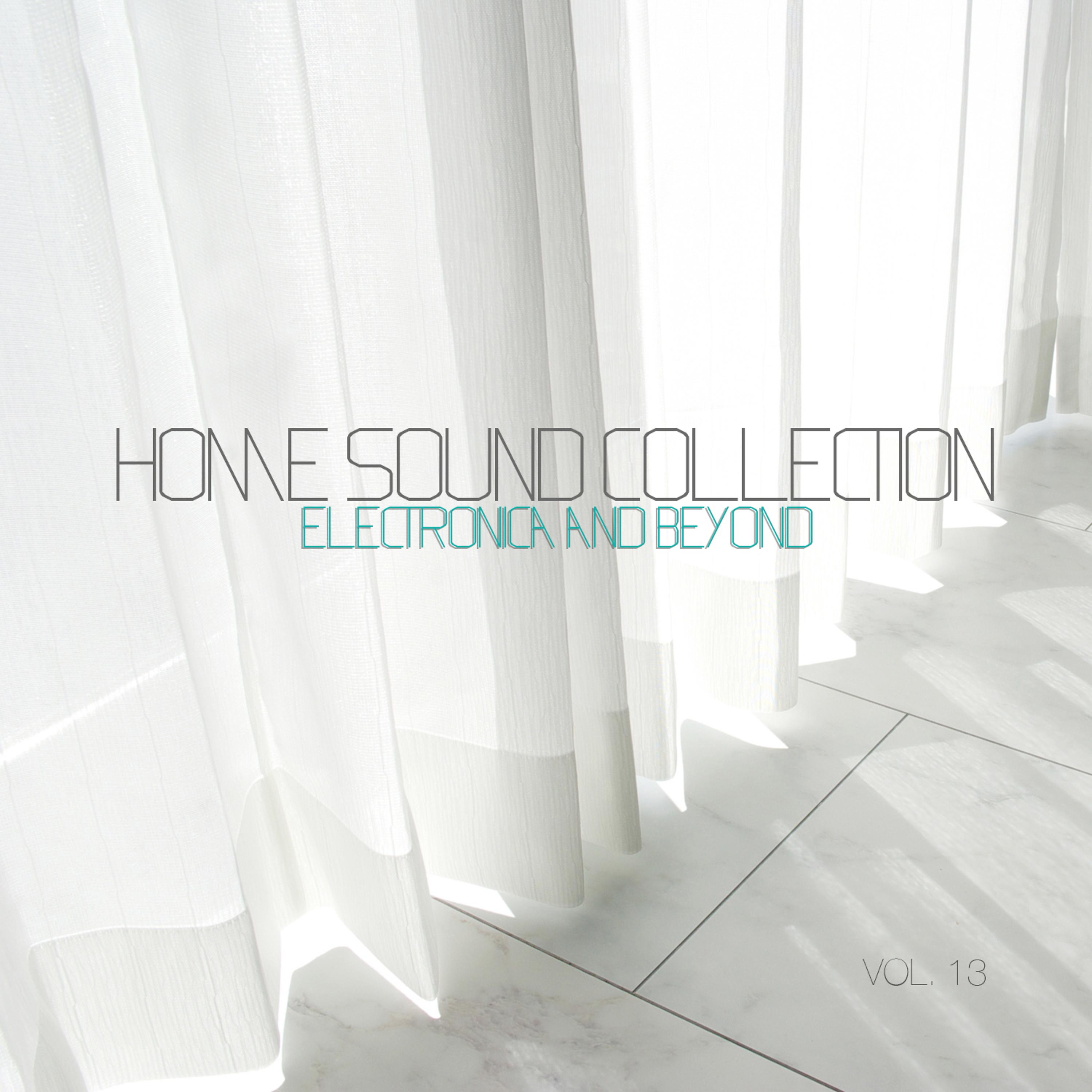 Постер альбома Home Sound Collection: Electronica & Beyond, Vol. 13