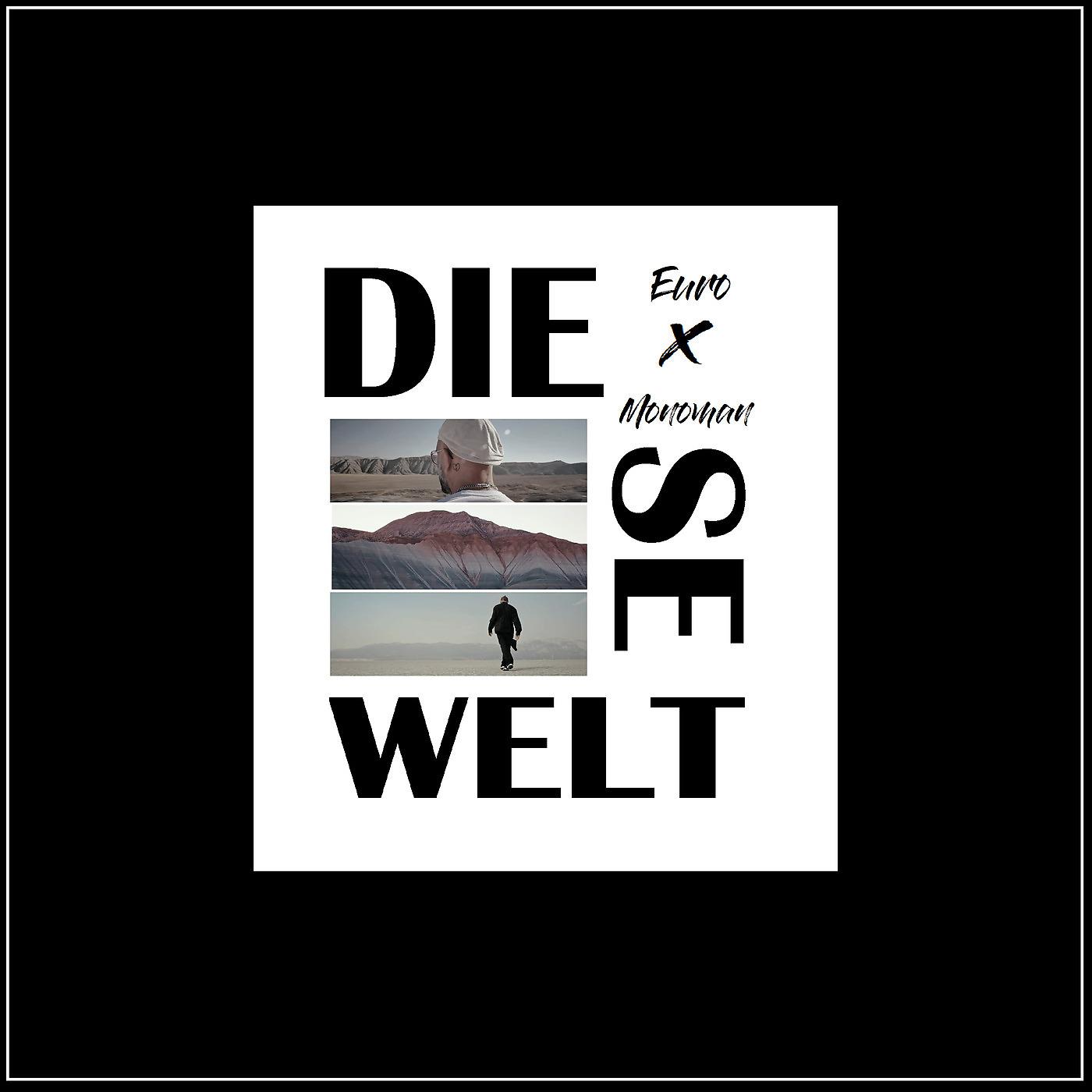 Постер альбома Diese Welt