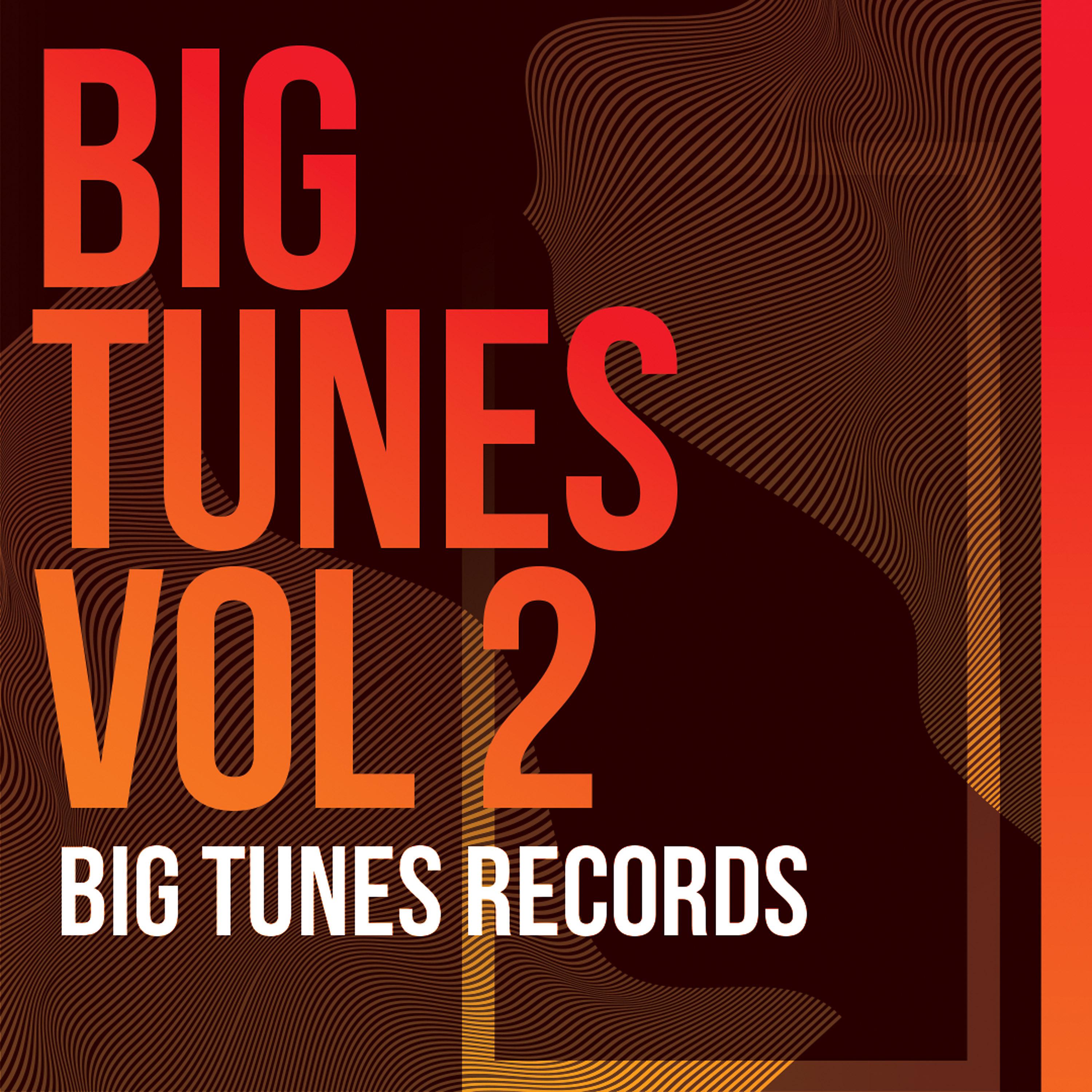 Постер альбома Big Tunes Vol 2