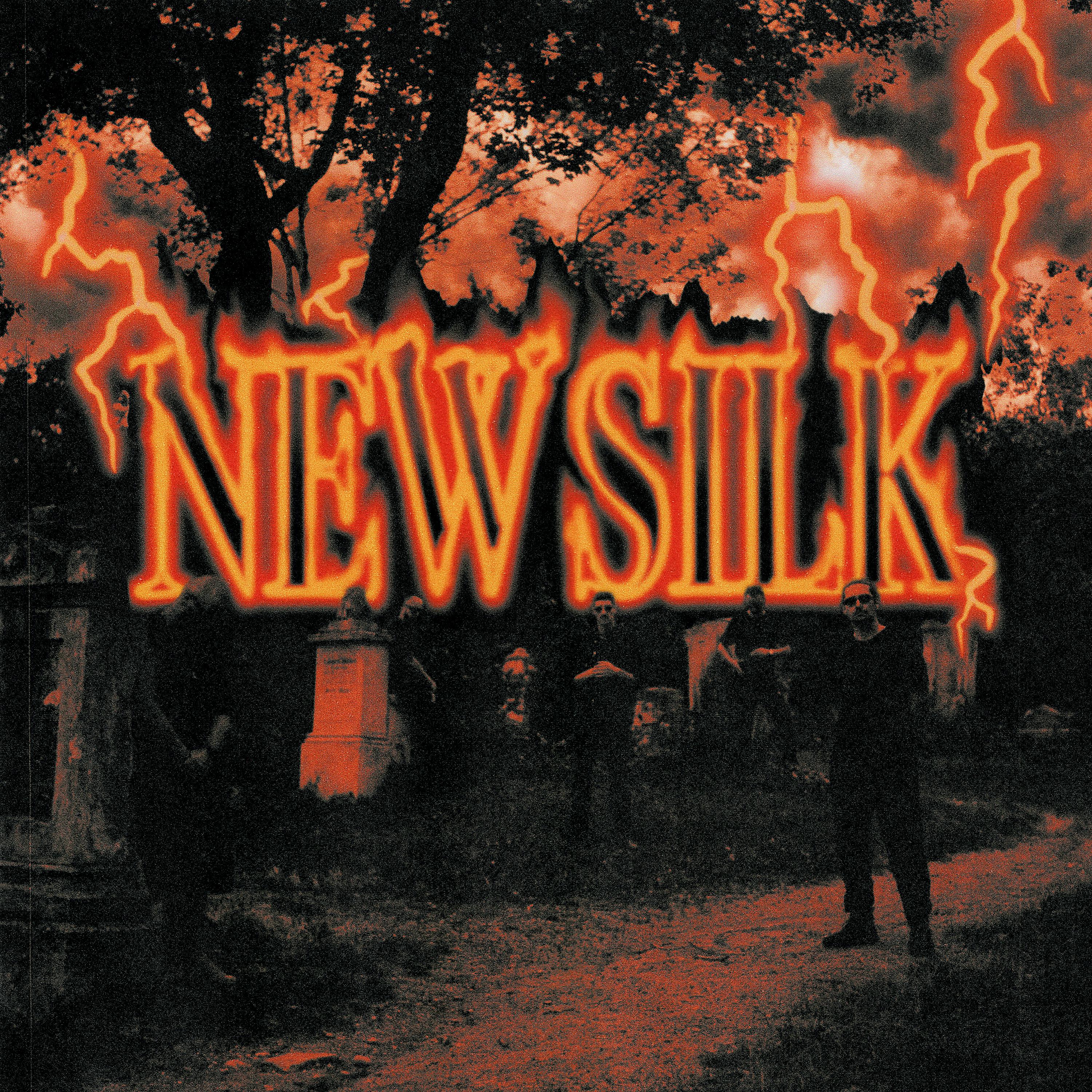 Постер альбома New Silk