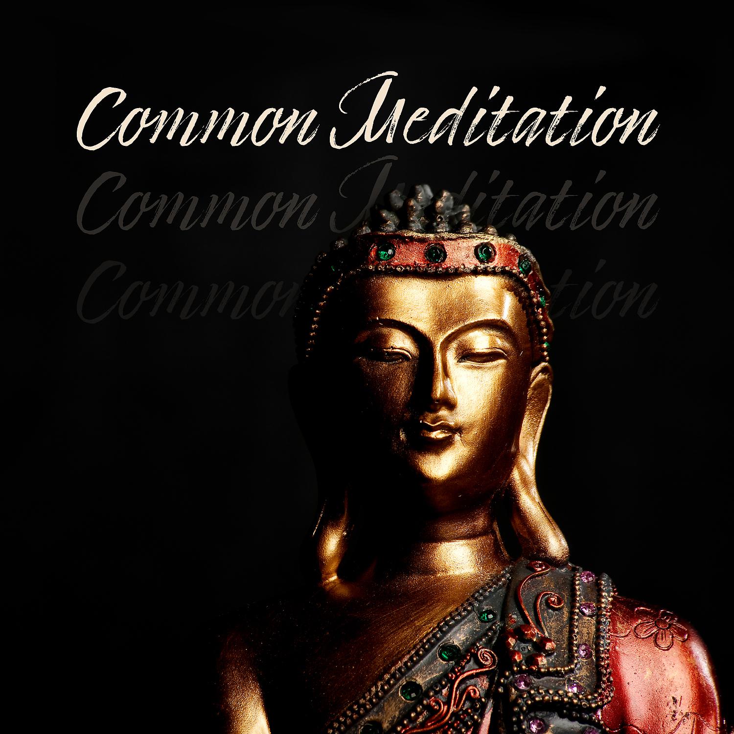 Постер альбома Common Meditation - Mental Preparation for the Magha Puja Day, Perfect Harmony, Buddha Meditation
