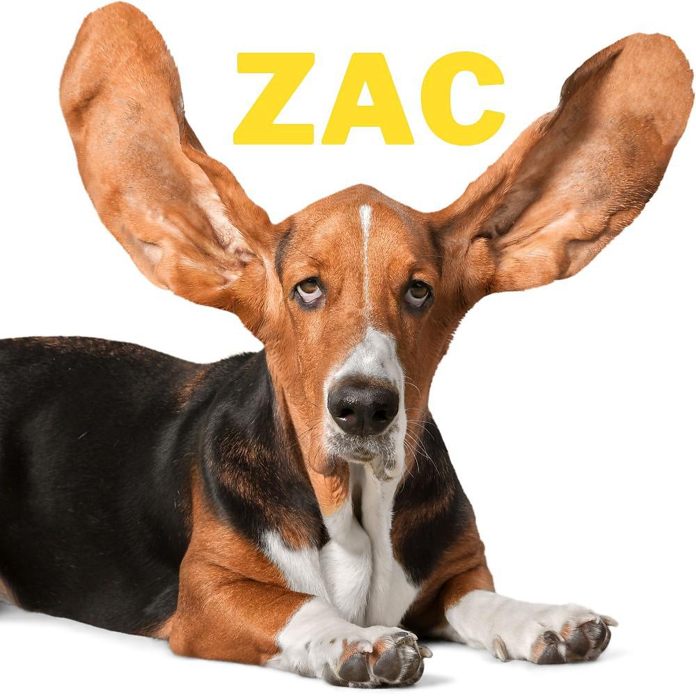 Постер альбома Zac
