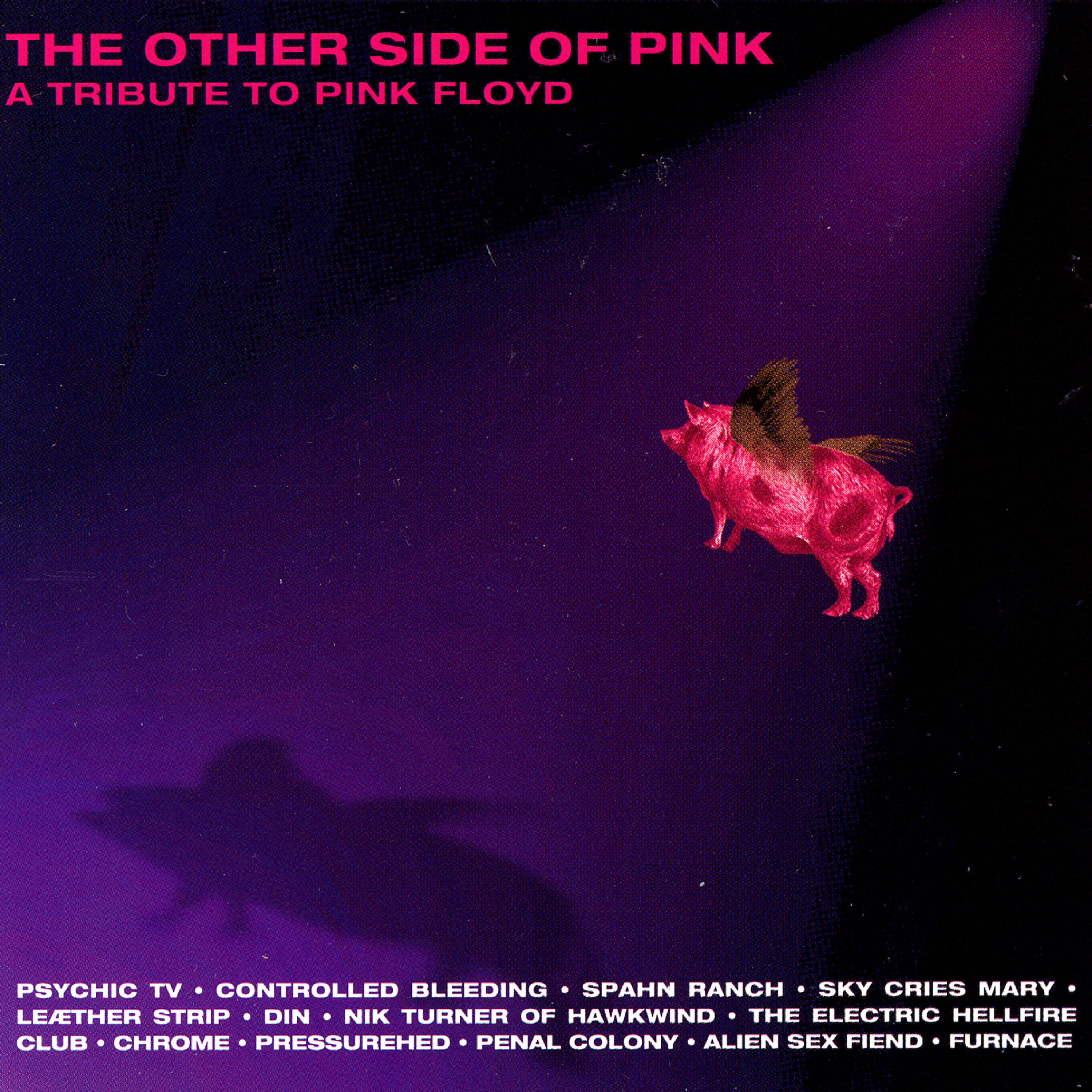 Постер альбома The Other Side Of Pink - A Tribute To Pink Floyd
