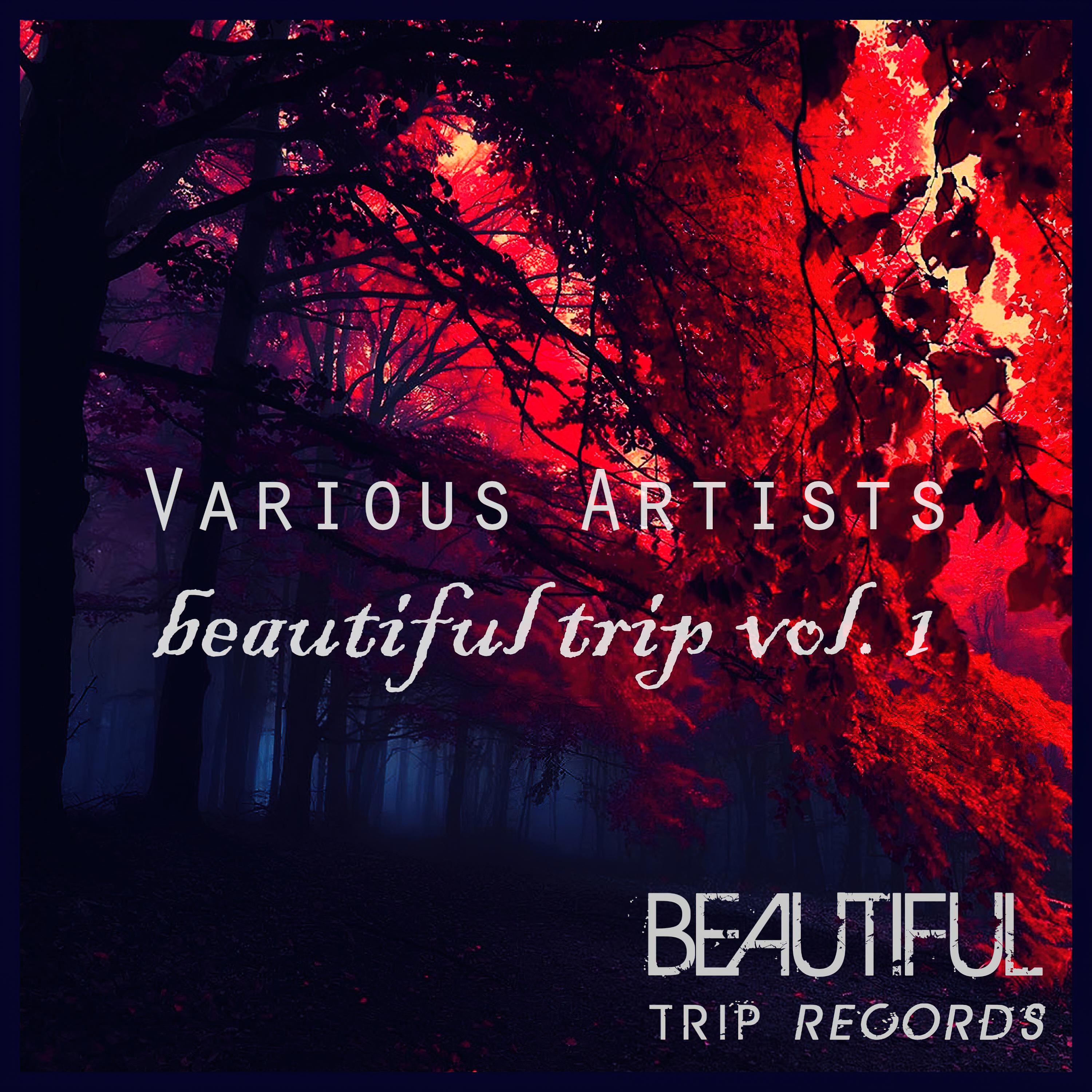 Постер альбома Beautiful Trip, Vol. 1