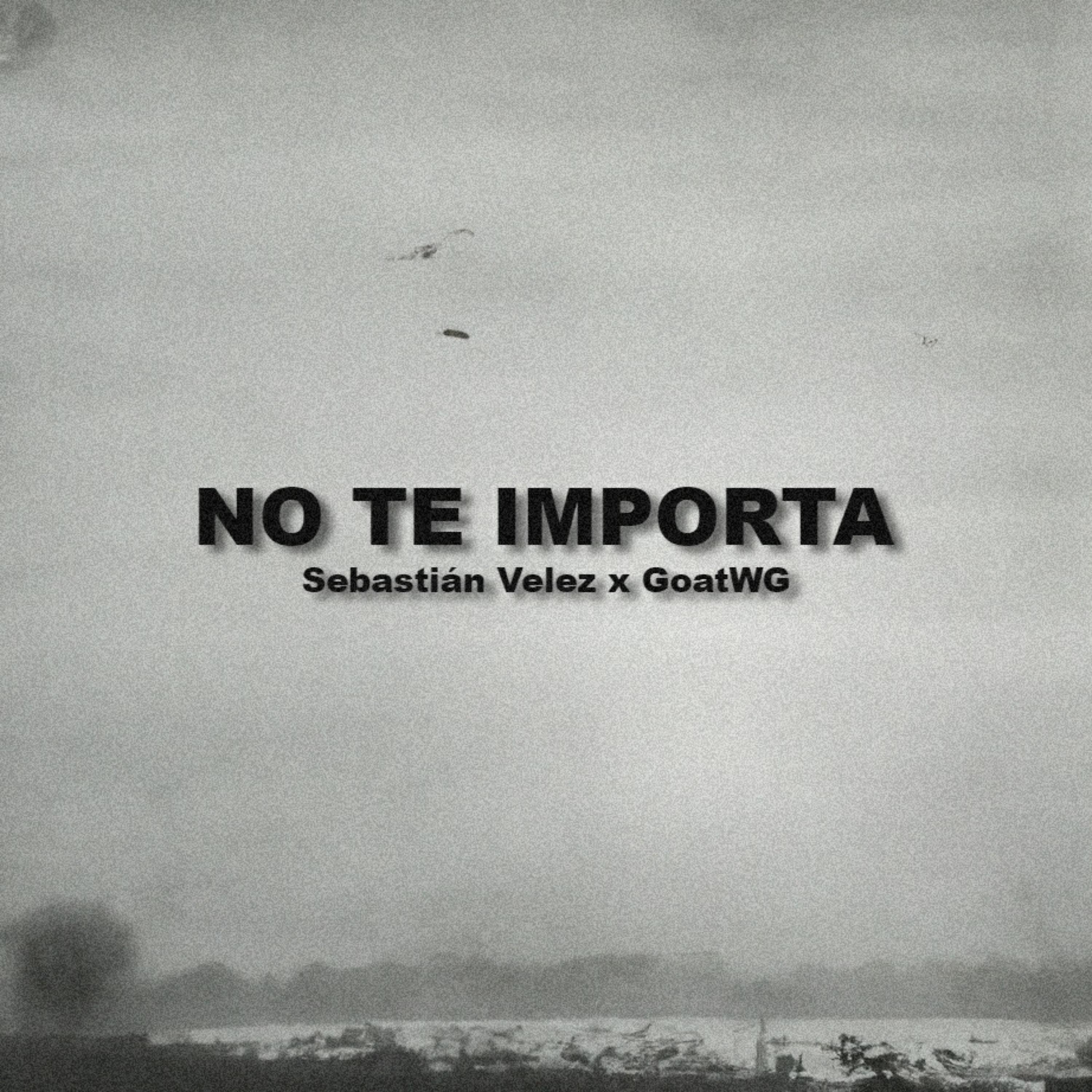 Постер альбома No Te Importa