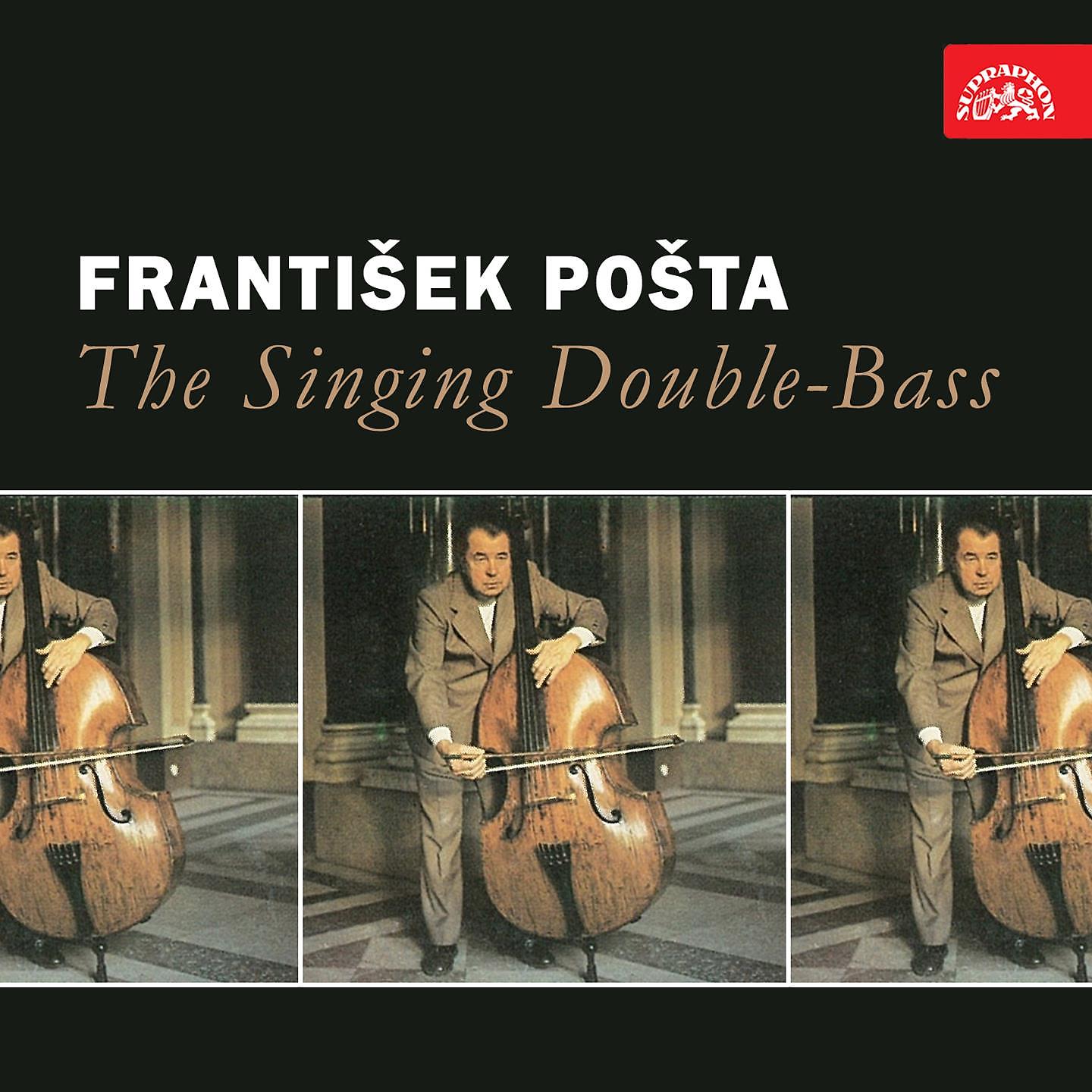 Постер альбома The Singing Double-Bass