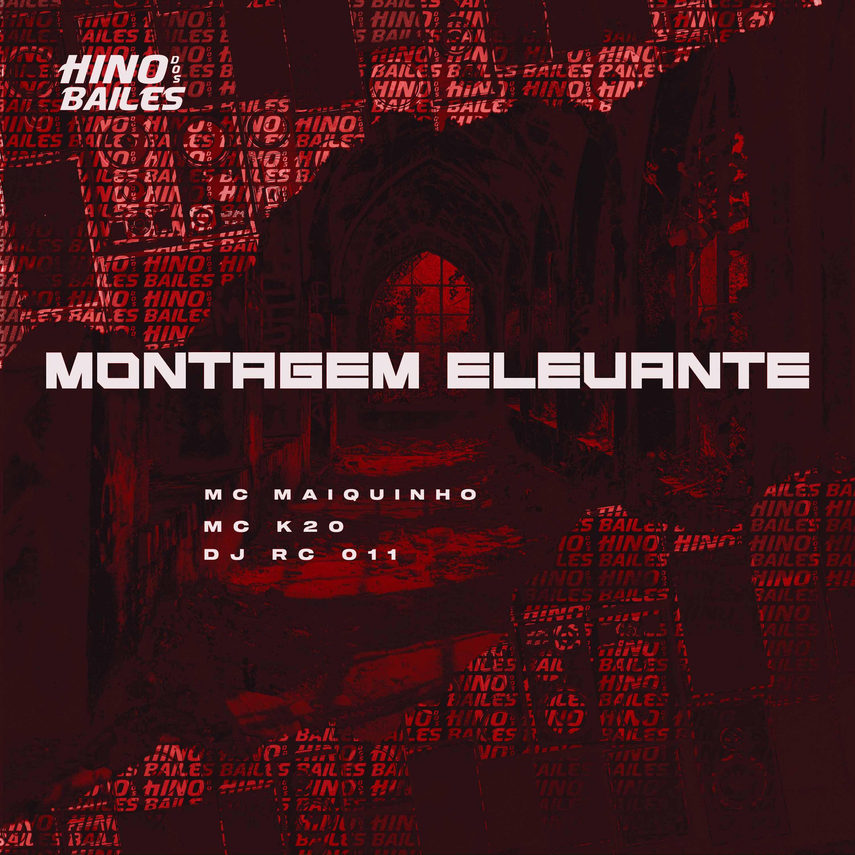 Постер альбома Montagem Elevante