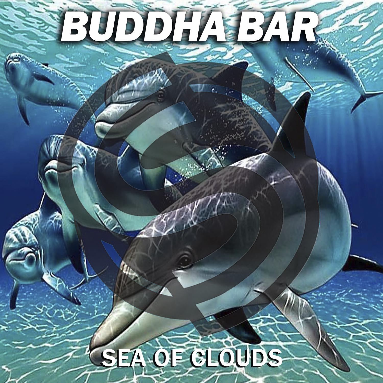 Постер альбома Sea of Clouds