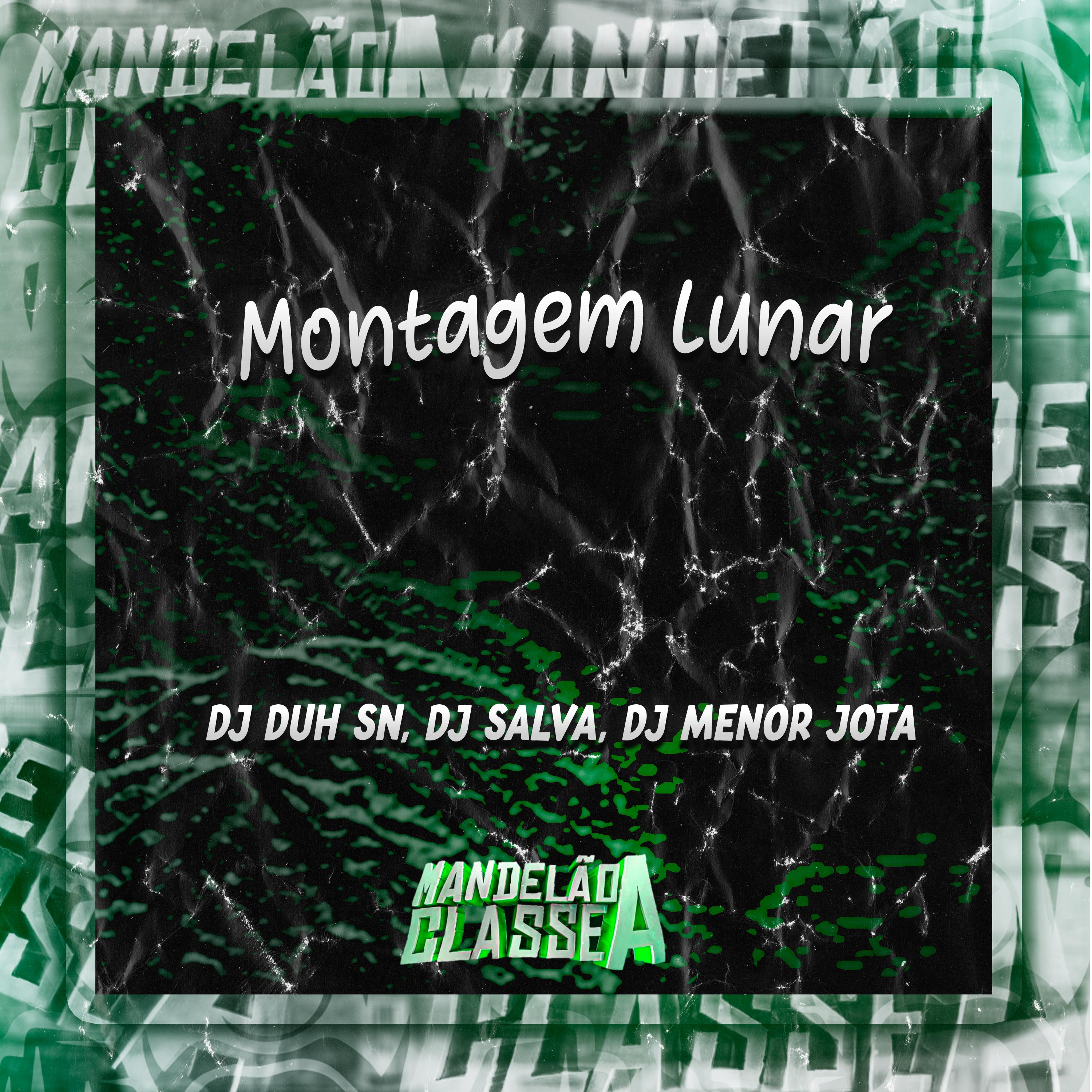 Постер альбома Montagem Lunar