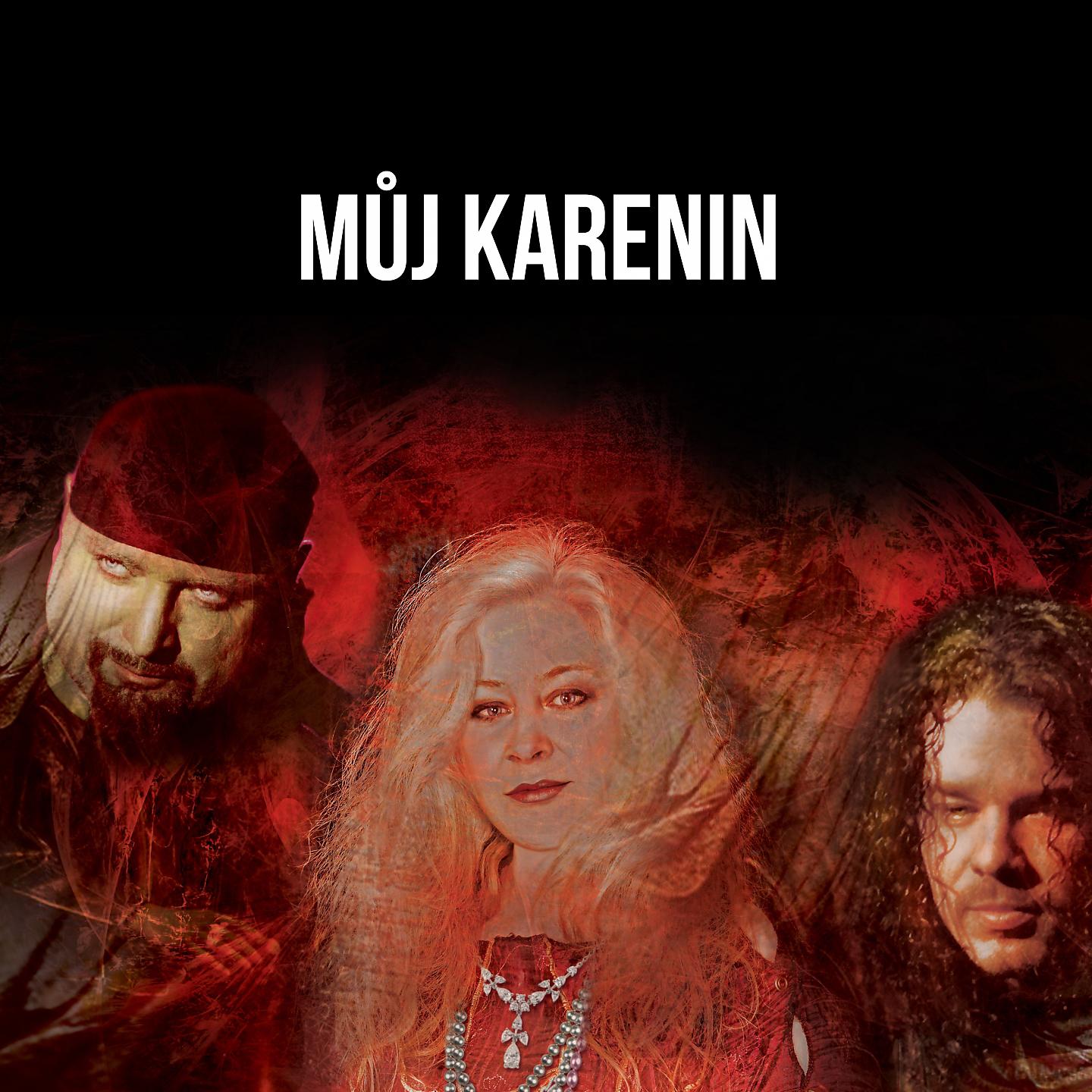 Постер альбома Můj karenin