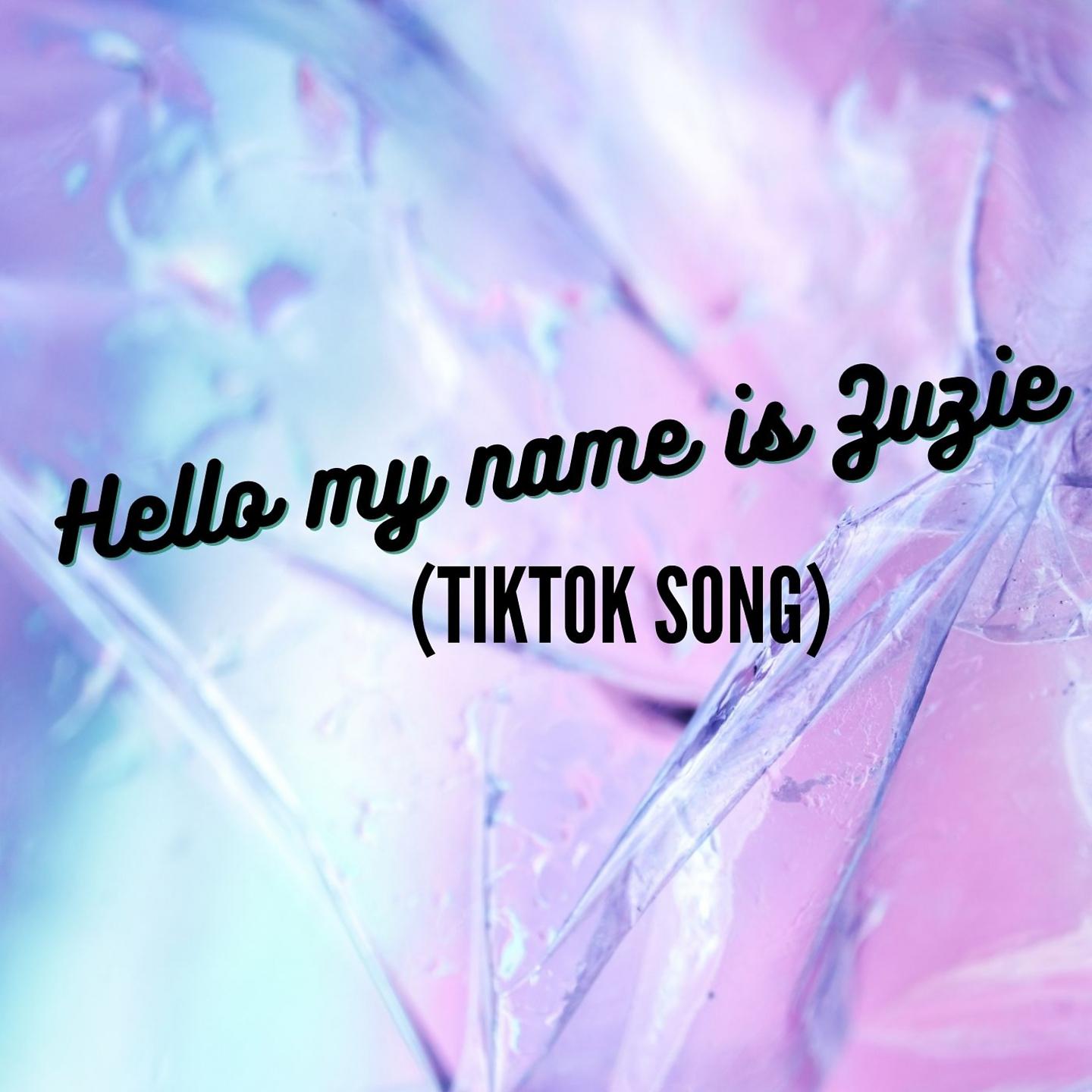 Постер альбома Hello my name is Zuzie (TikTok Song)