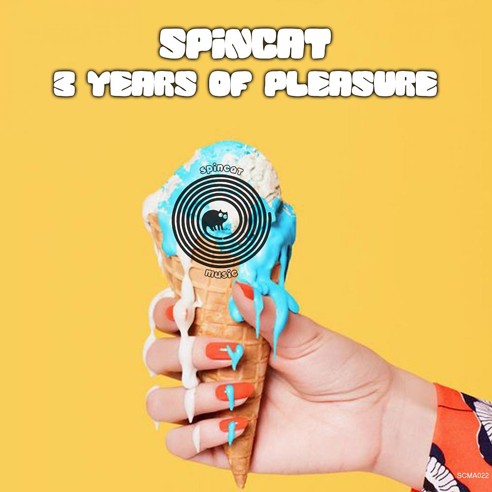 Постер альбома SpinCat 3 Years Of Pleasure