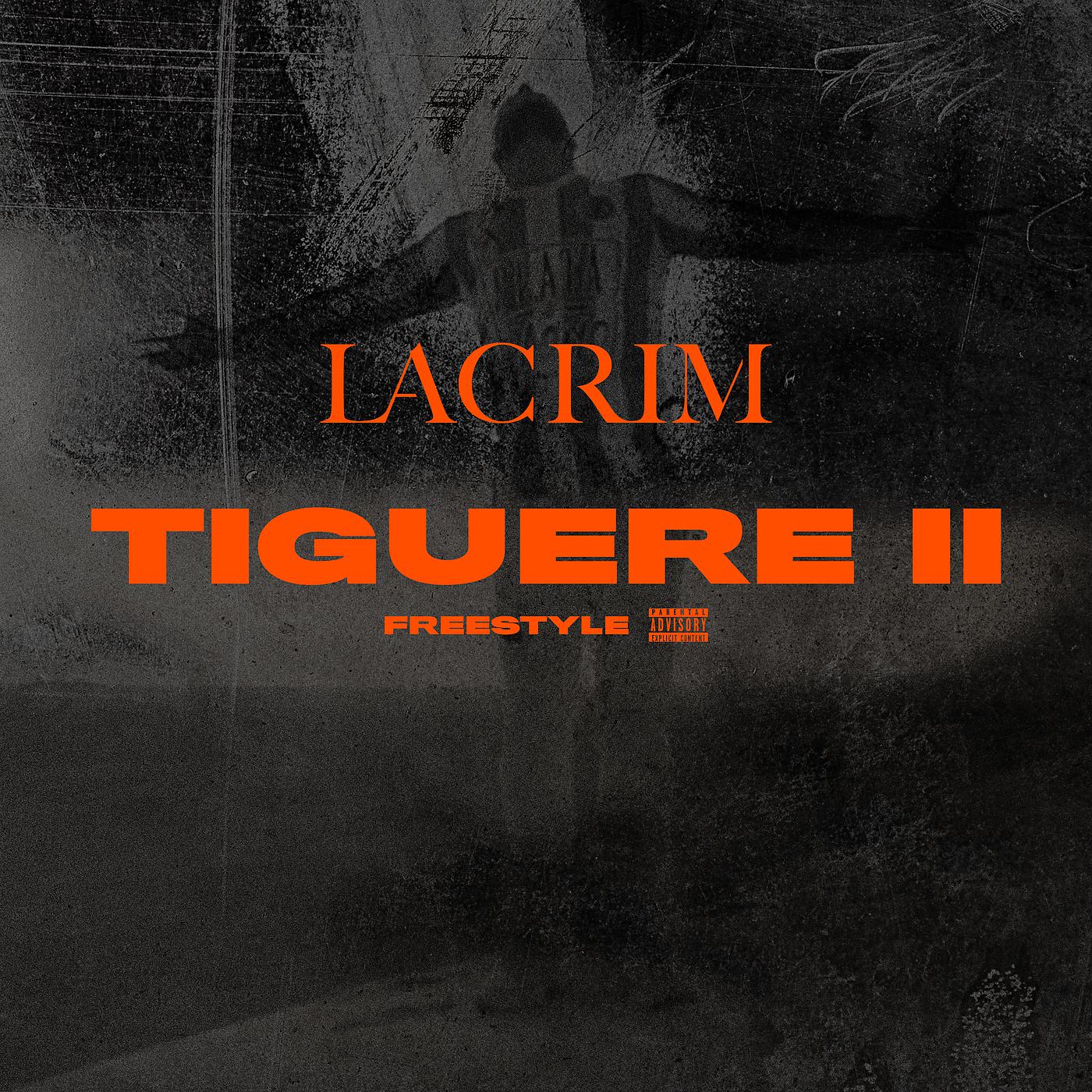 Постер альбома Tiguere 2 (Freestyle)