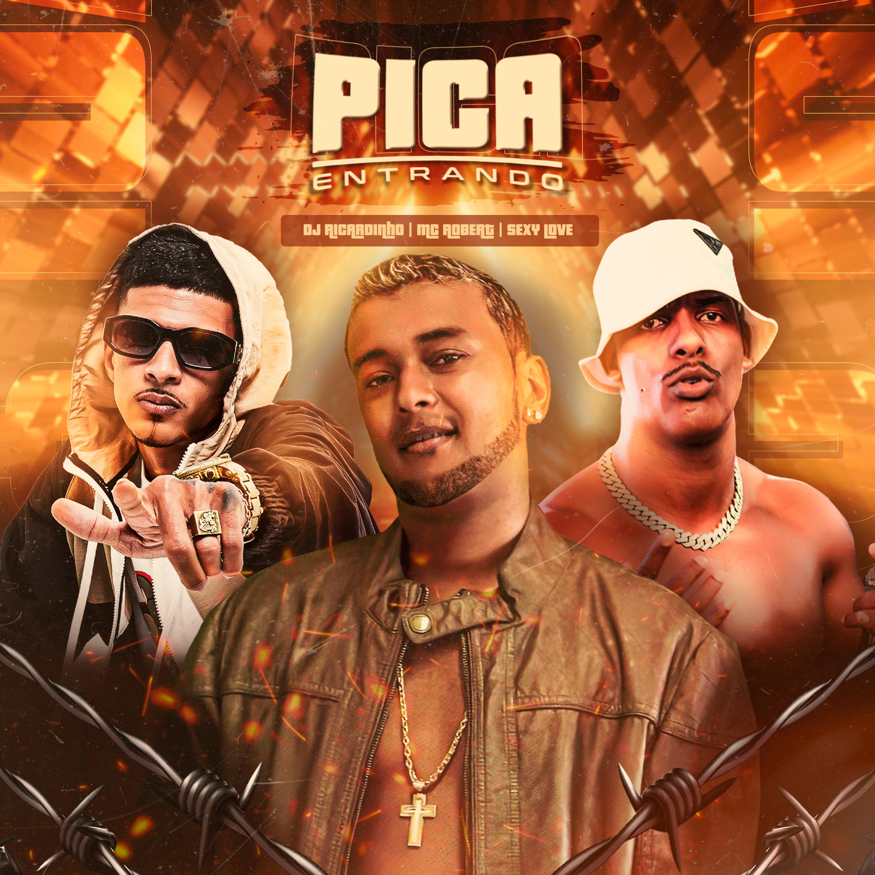 Постер альбома Pica Entrando