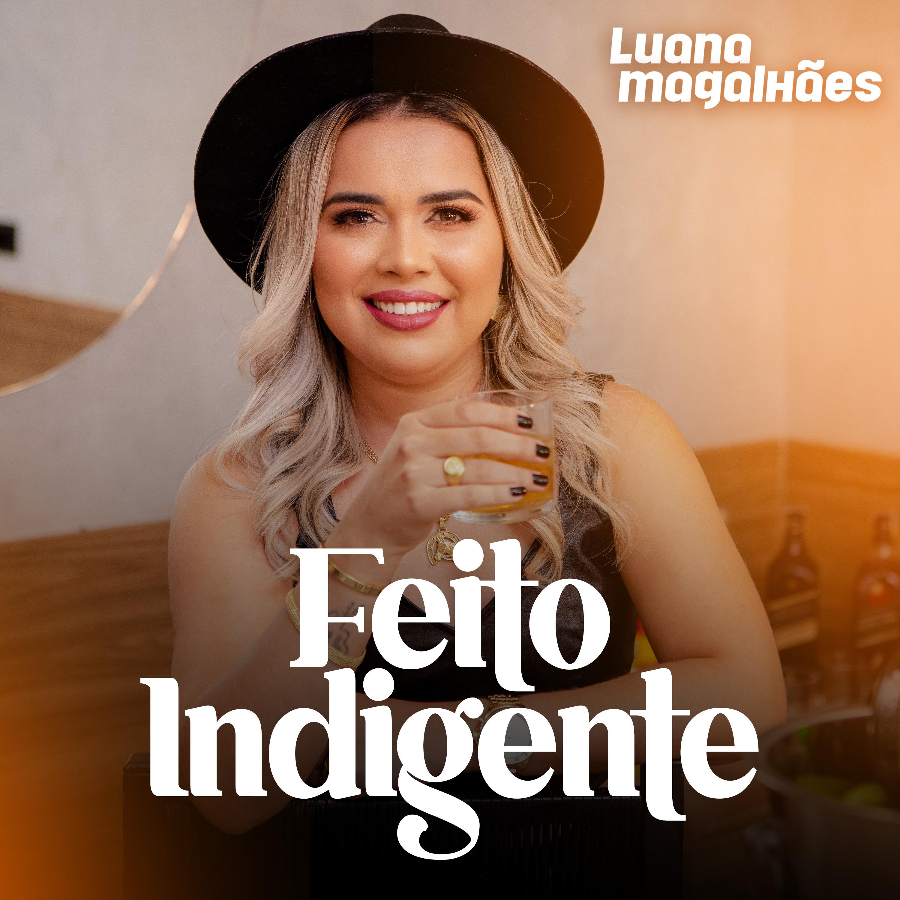 Постер альбома Feito Indigente