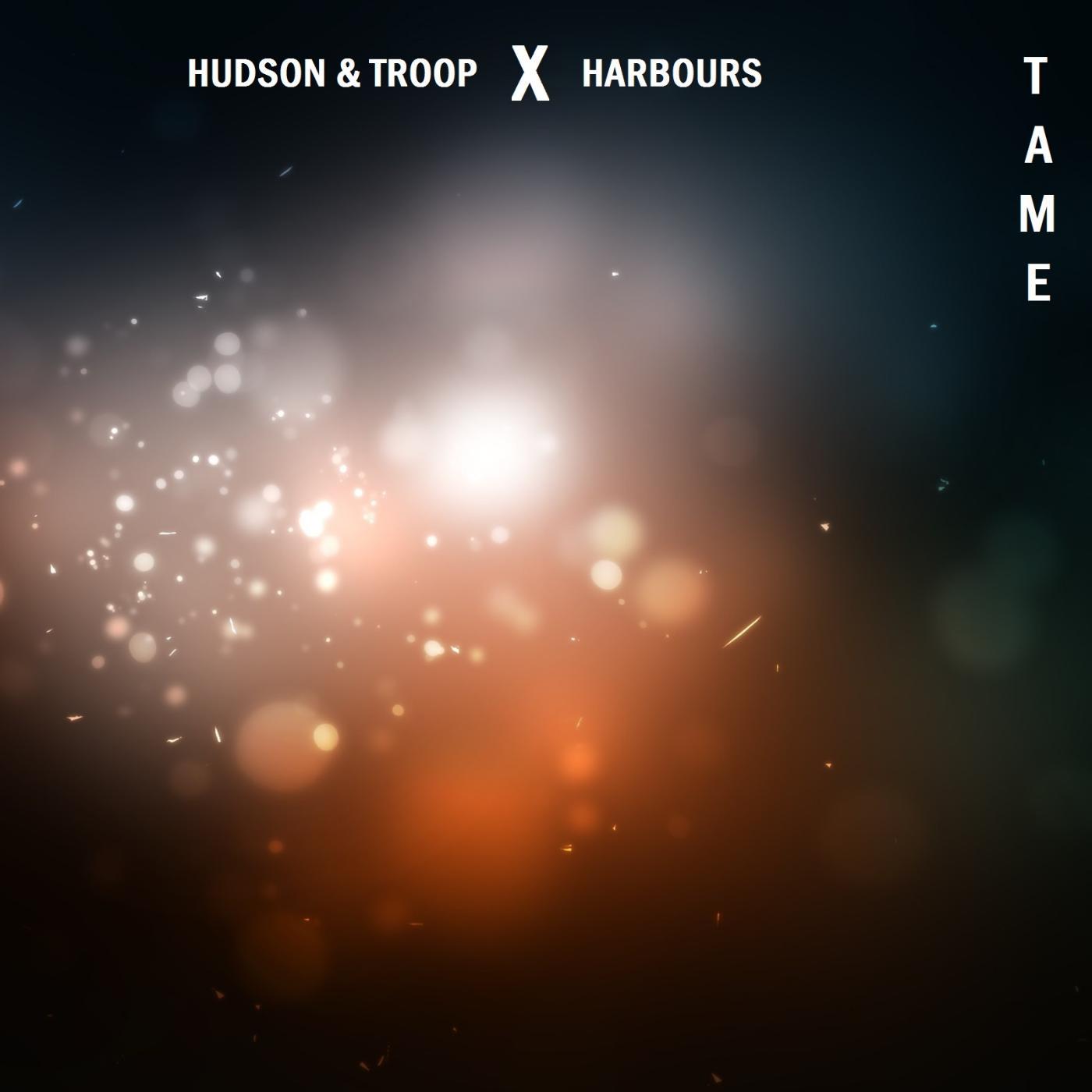 Постер альбома Tame (Harbours Remix)