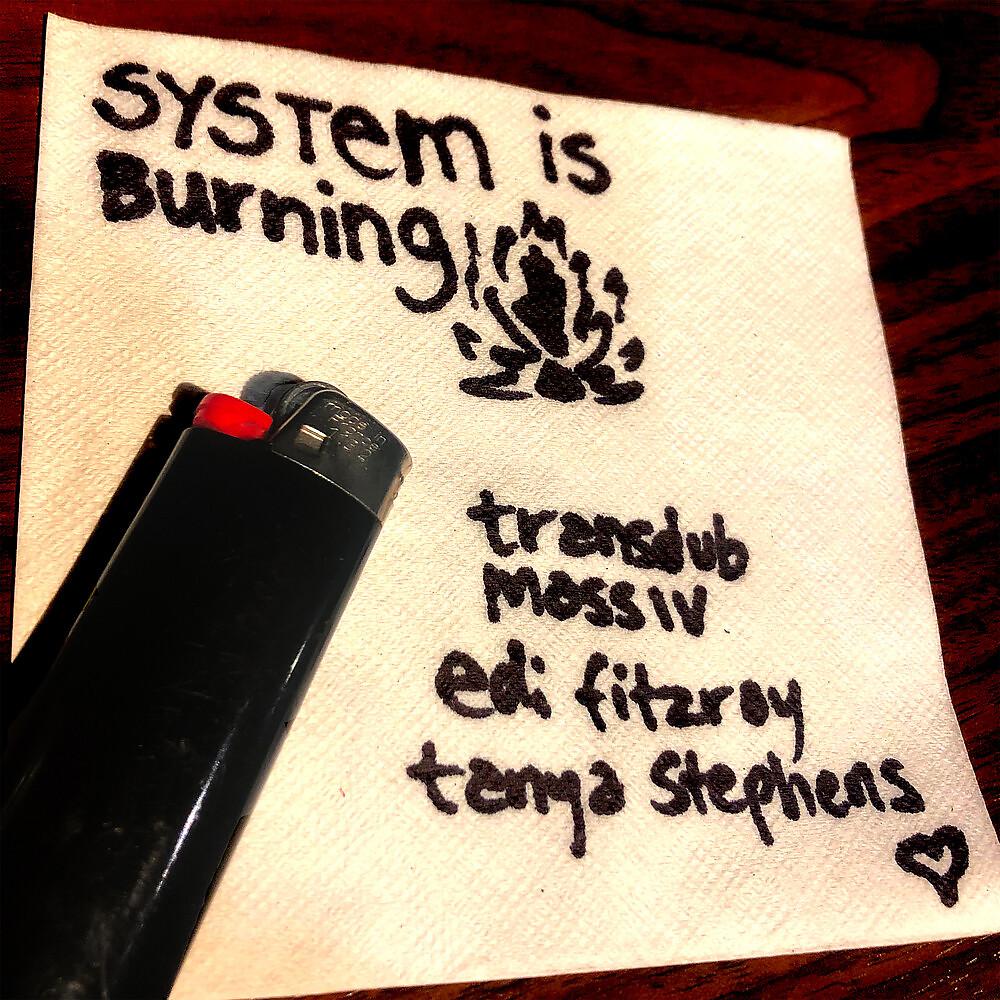 Постер альбома System is Burning