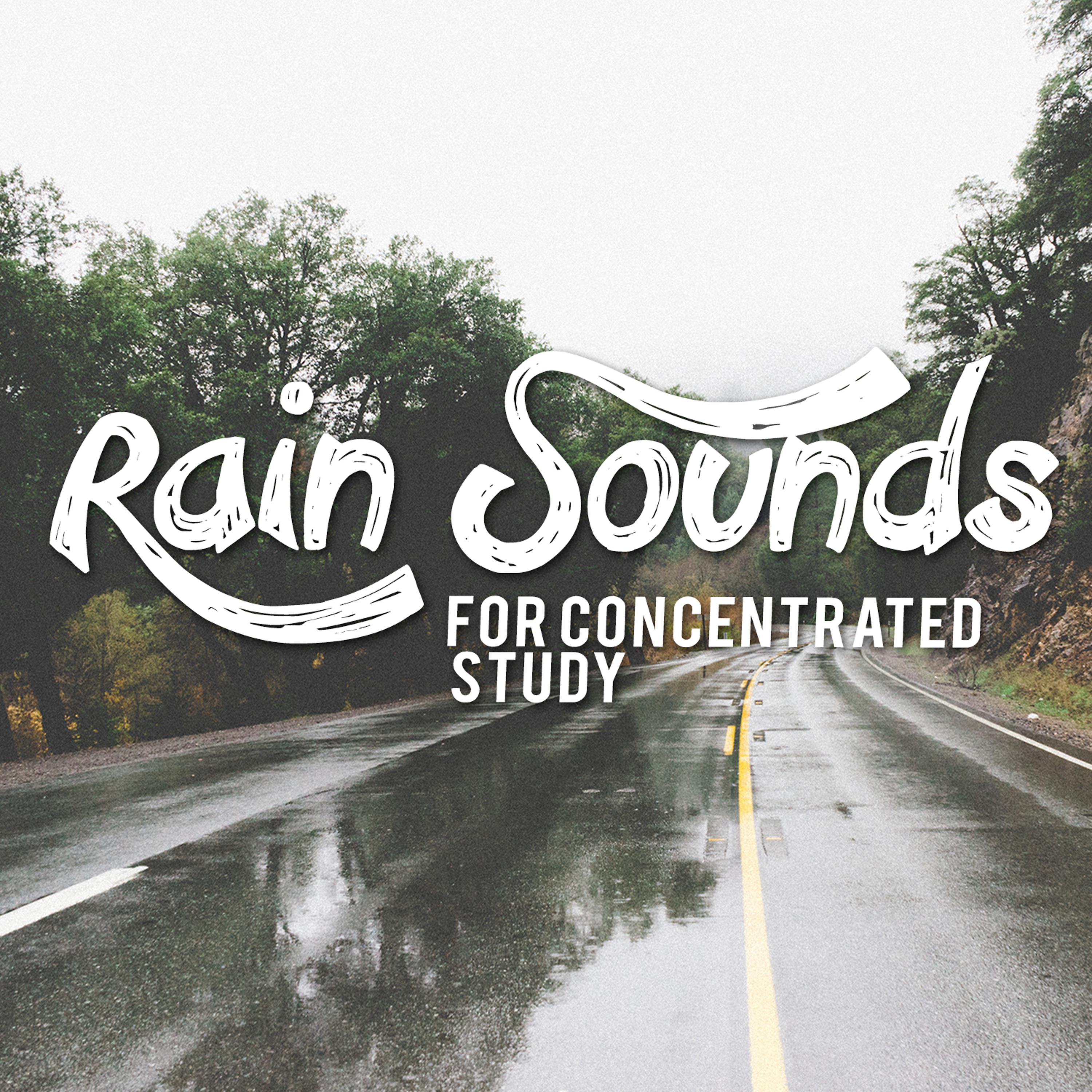 Постер альбома Rain Sounds for Concentrated Study