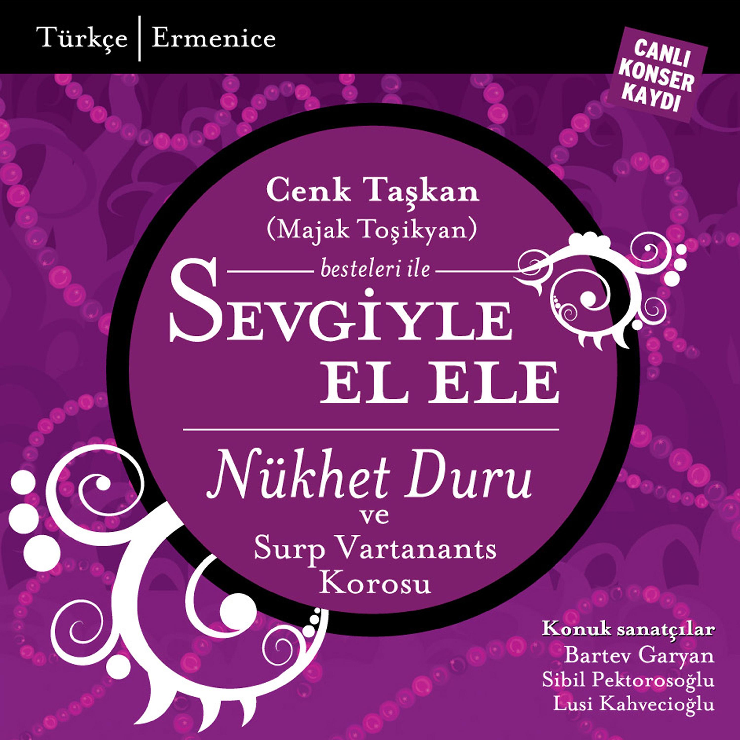 Постер альбома Sevgiyle Elele
