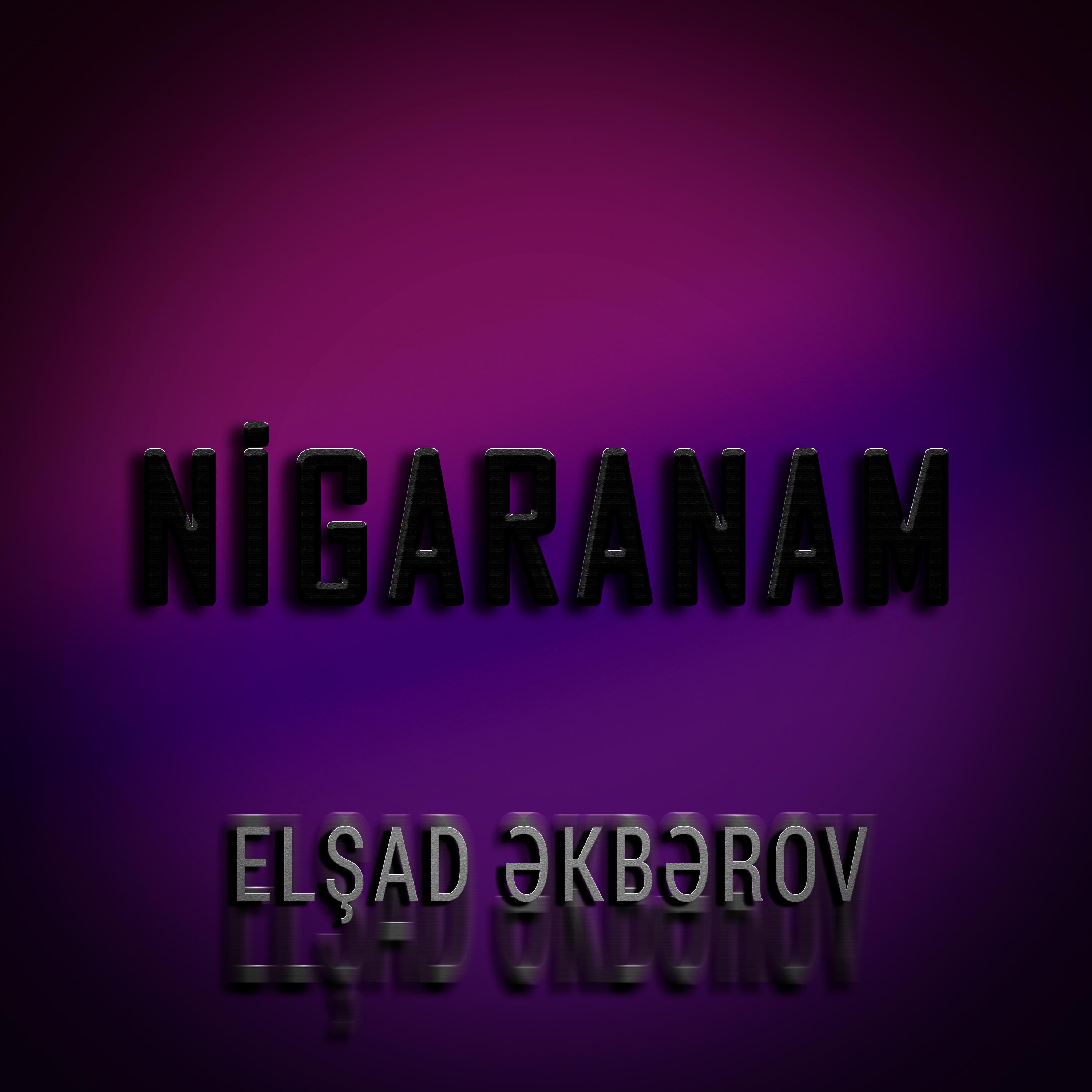 Постер альбома Nigaranam