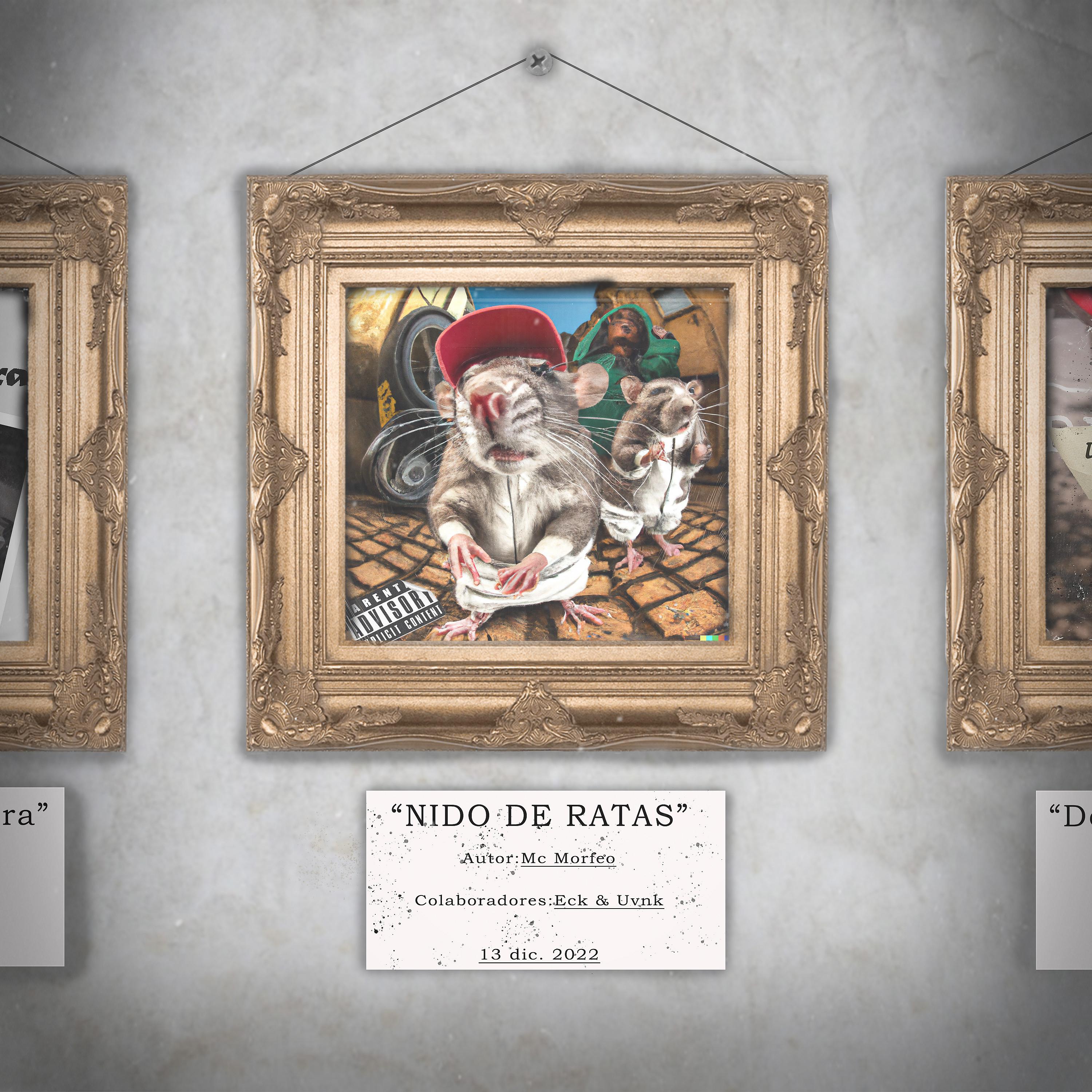 Постер альбома Nido de Ratas