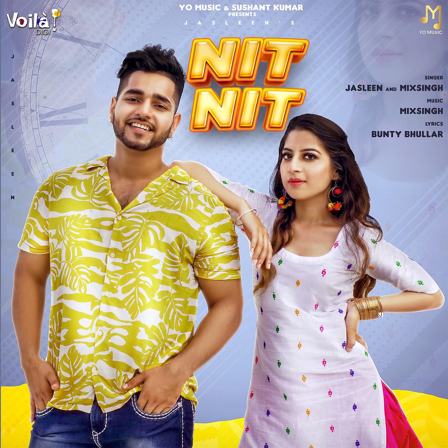 Постер альбома Nit Nit