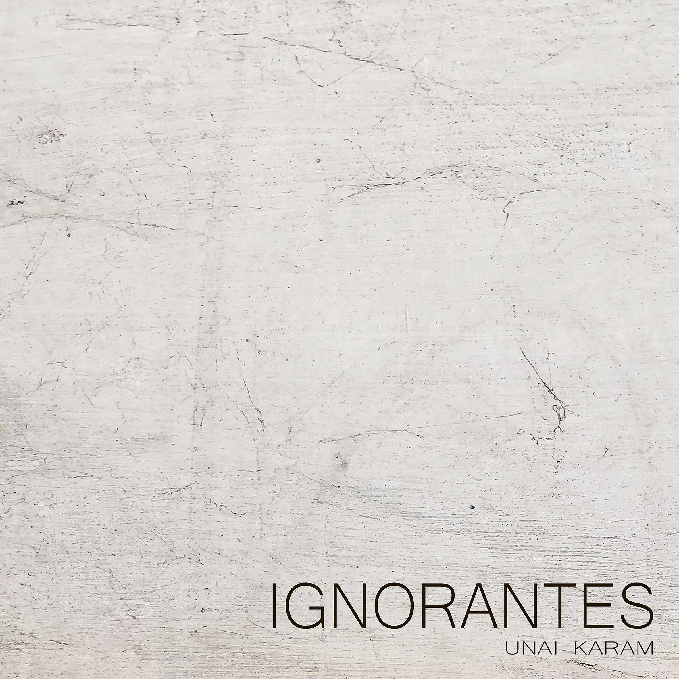 Постер альбома Ignorantes (Piano Cover)