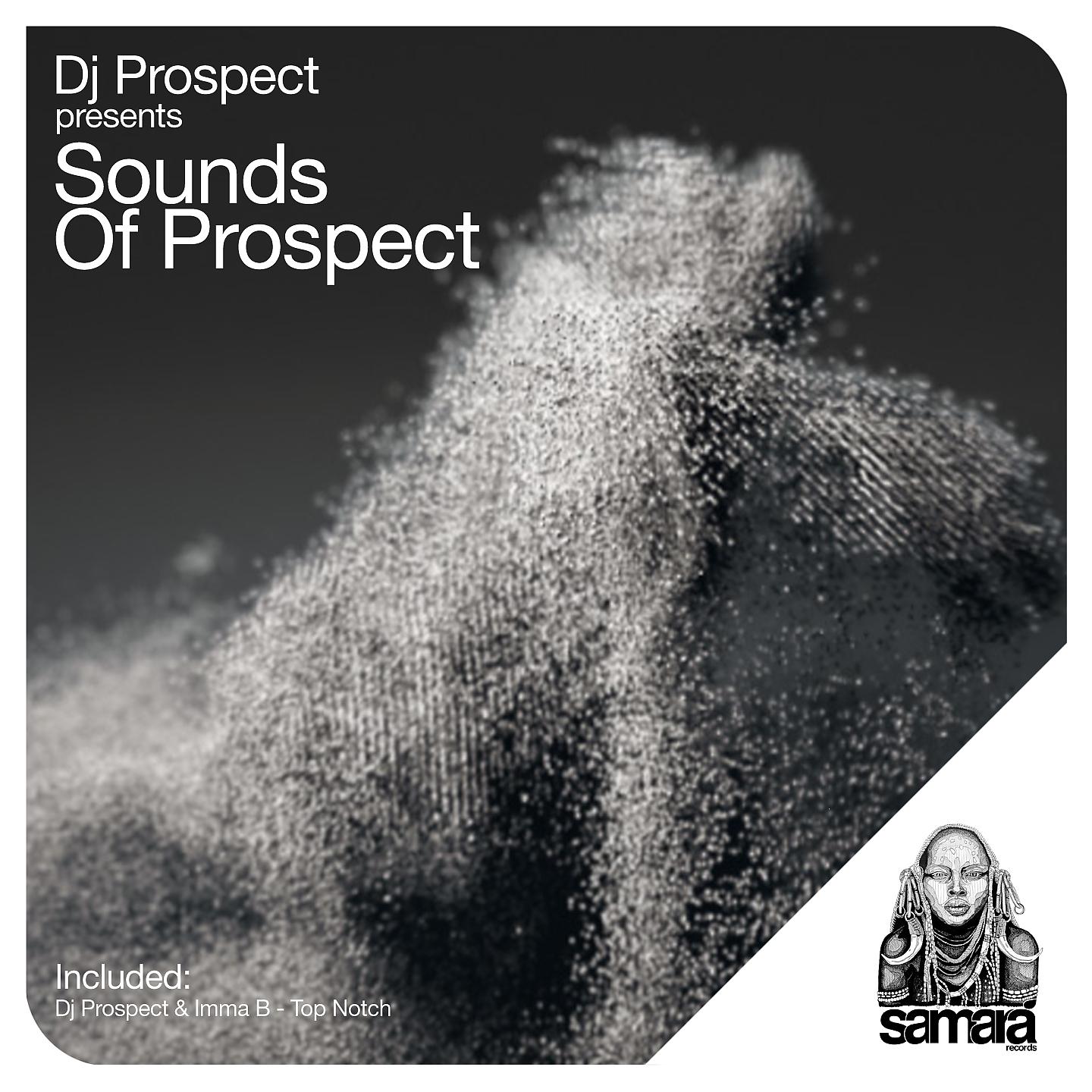Постер альбома Sounds of Prospect