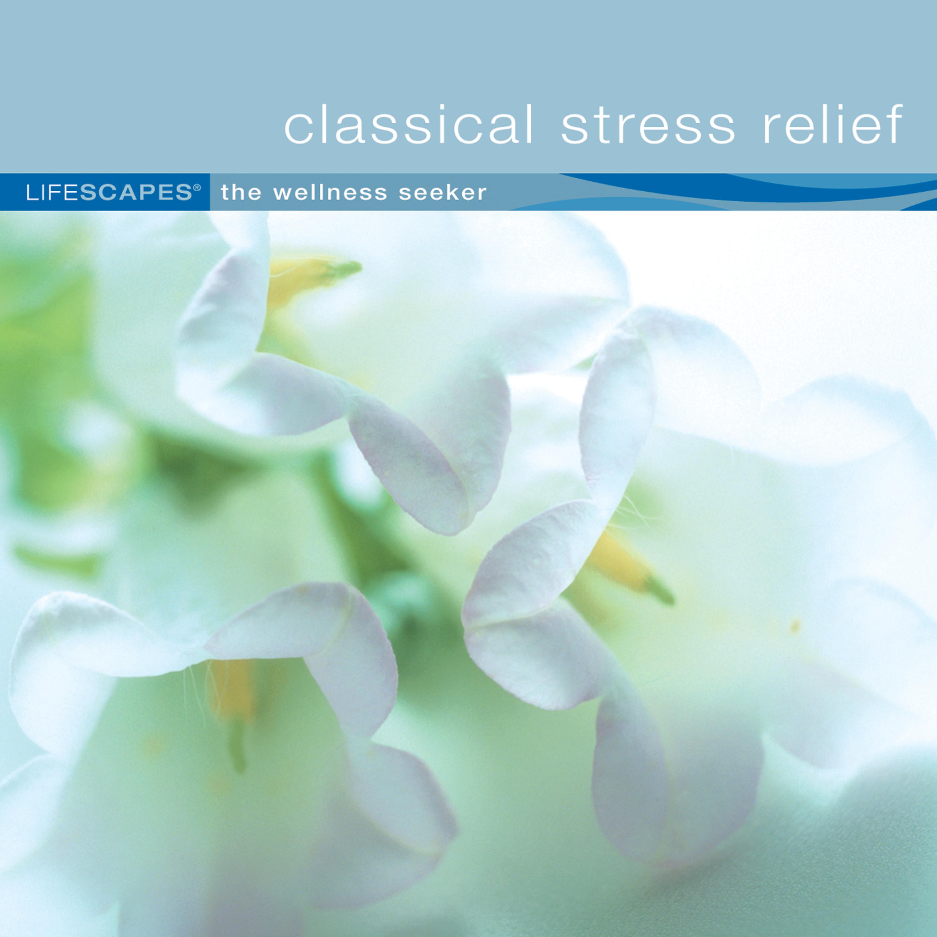 Постер альбома Classical Stress Relief