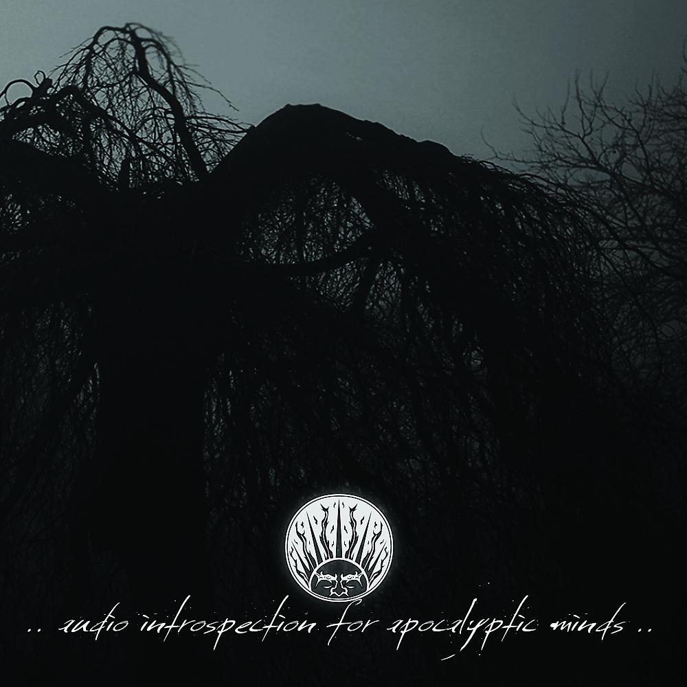 Постер альбома Audio Introspections For Apocalyptic Minds