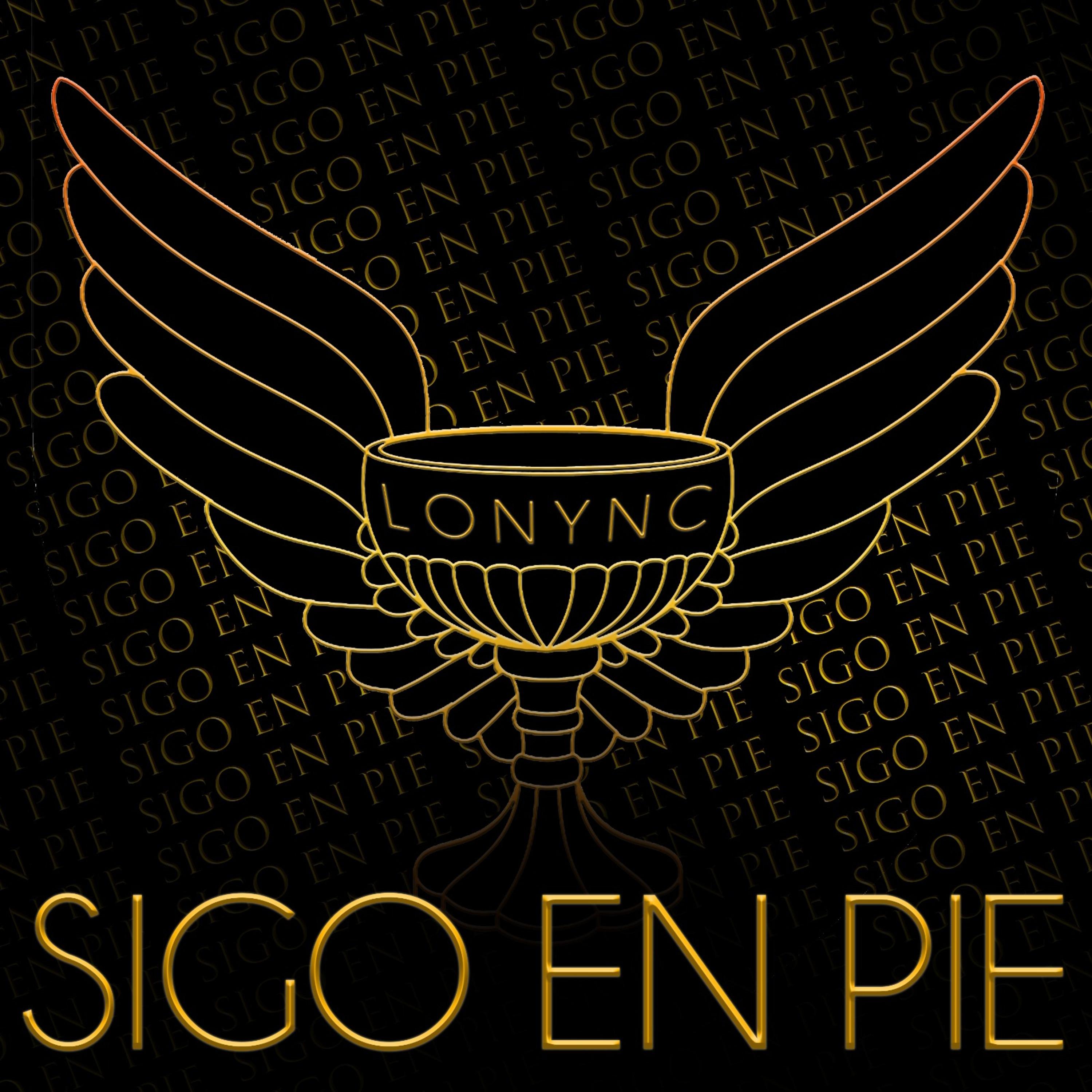 Постер альбома Sigo en Pie