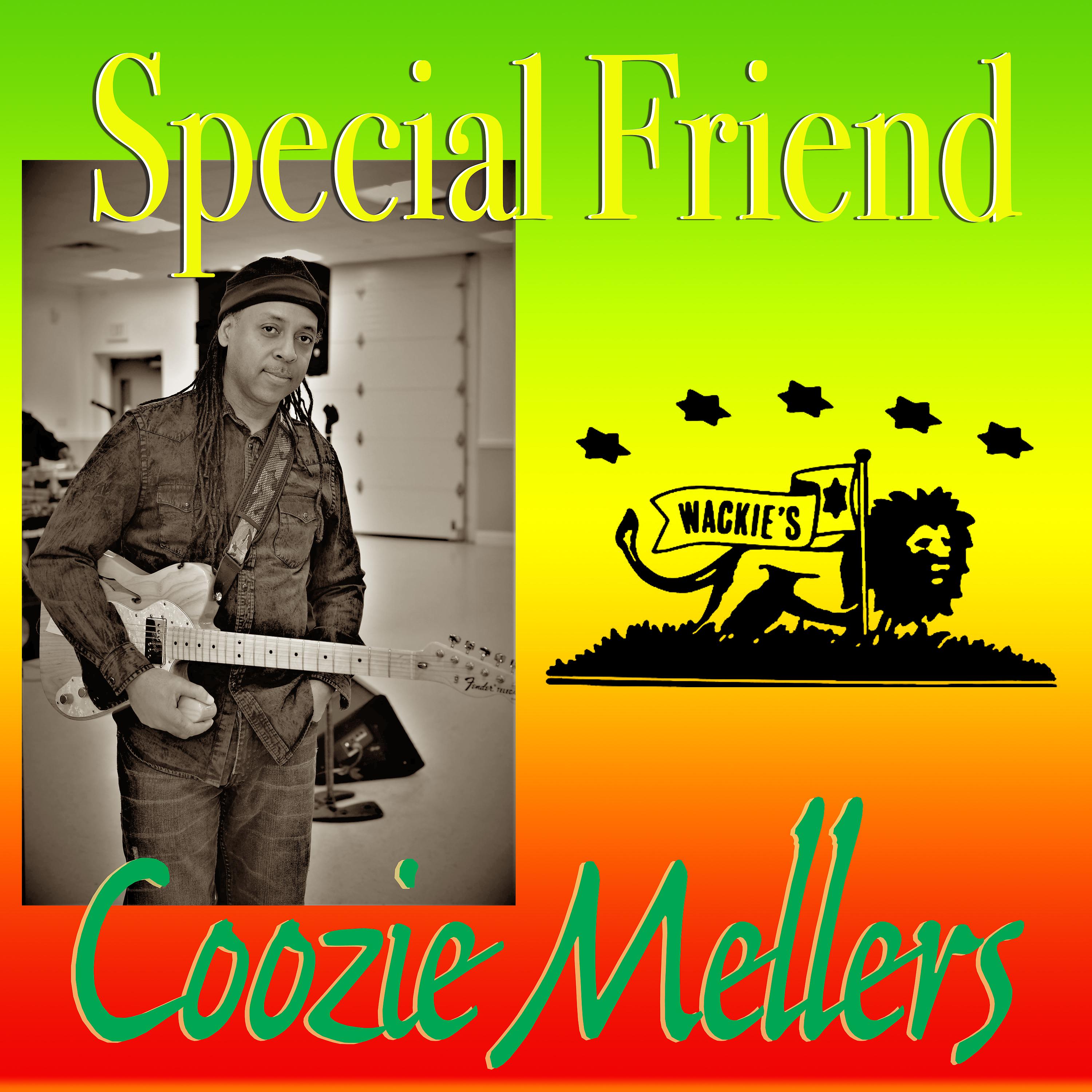 Постер альбома Special Friend