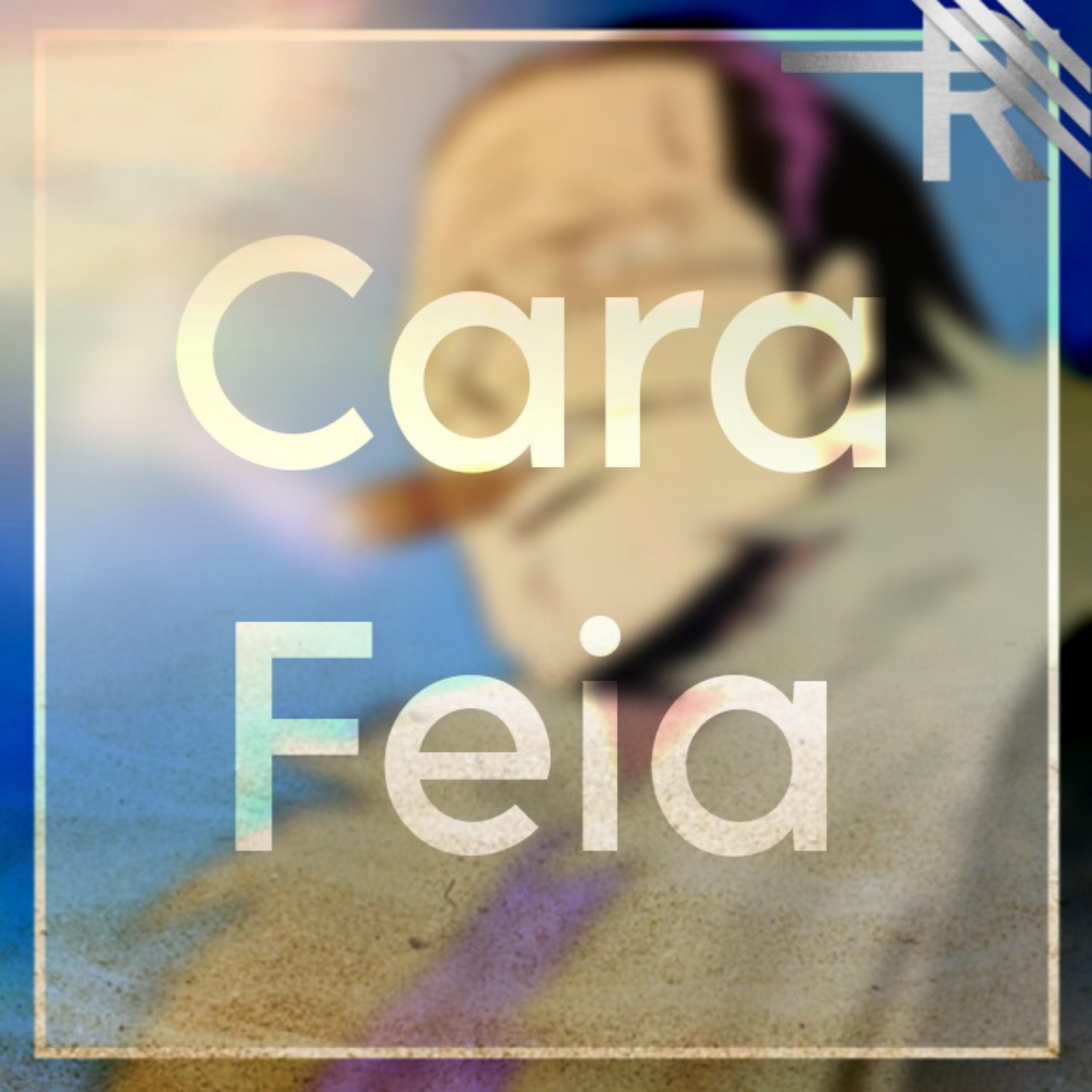 Постер альбома Cara Feia (Crocodile)