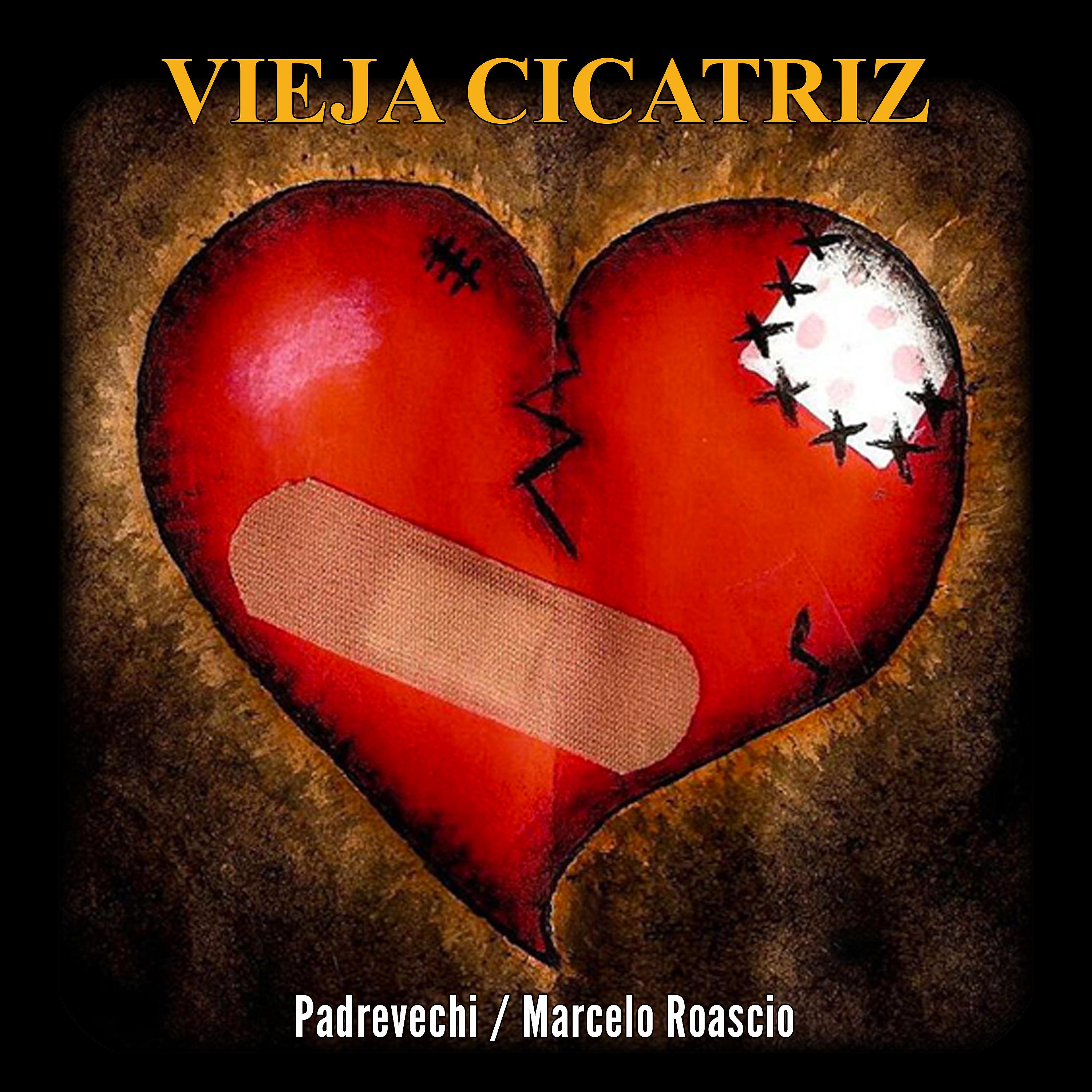 Постер альбома Vieja Cicatriz