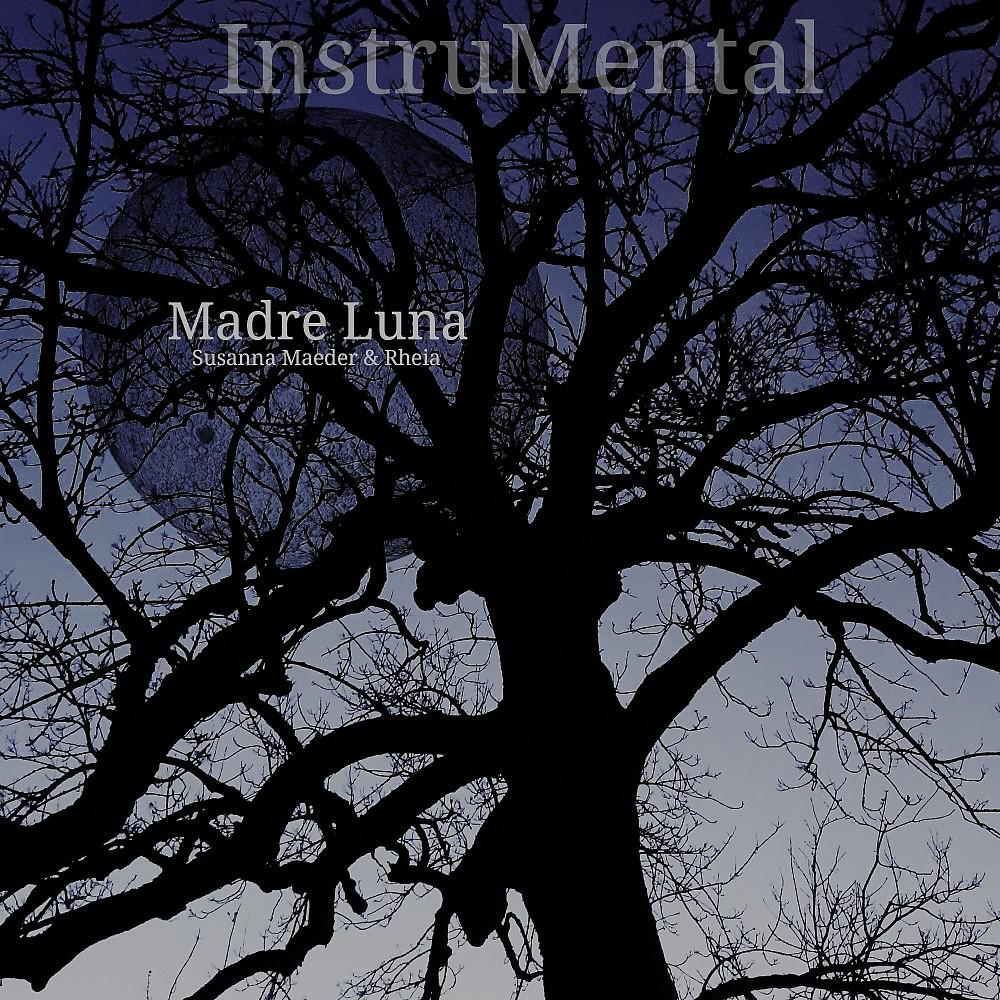 Постер альбома Madre Luna (Instrumental)