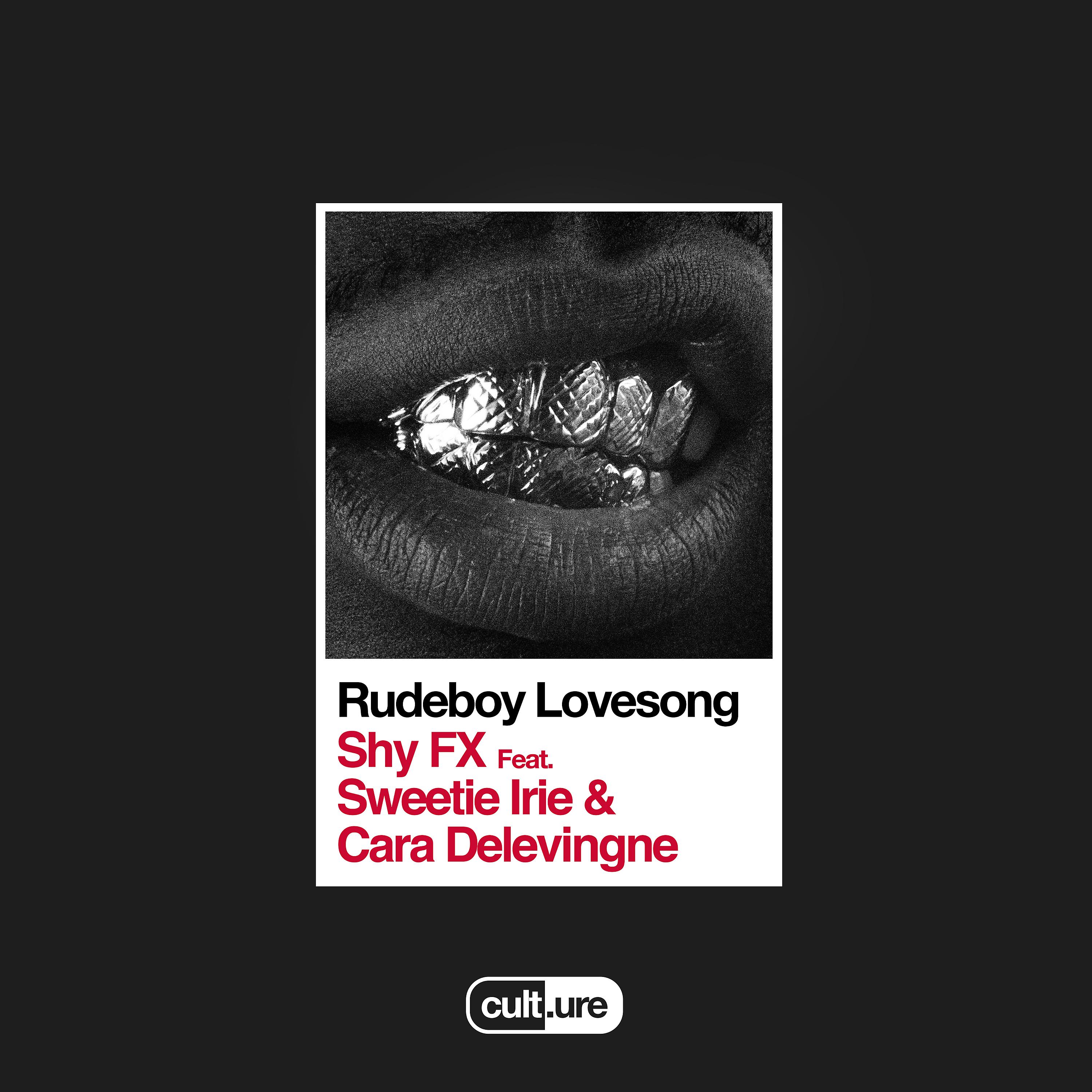 Постер альбома Rudeboy Lovesong (feat. Sweetie Irie & Cara Delevingne)