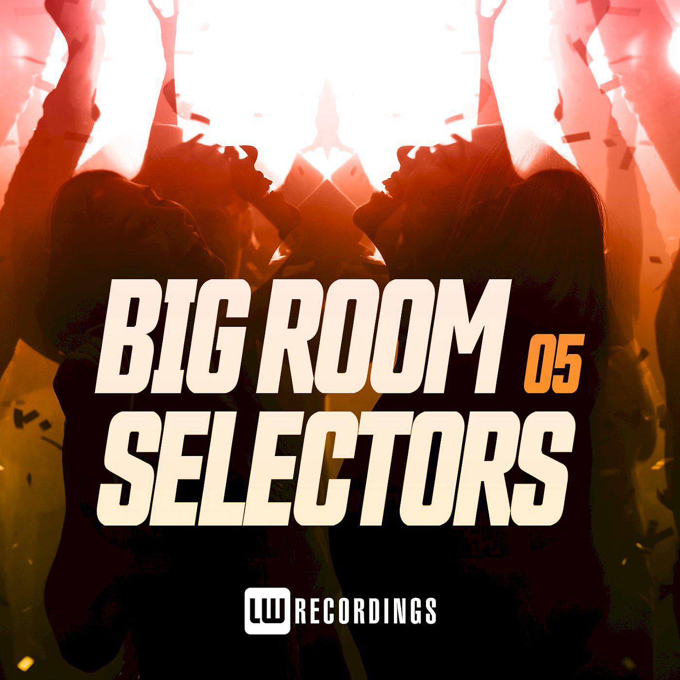 Постер альбома Big Room Selectors, 05
