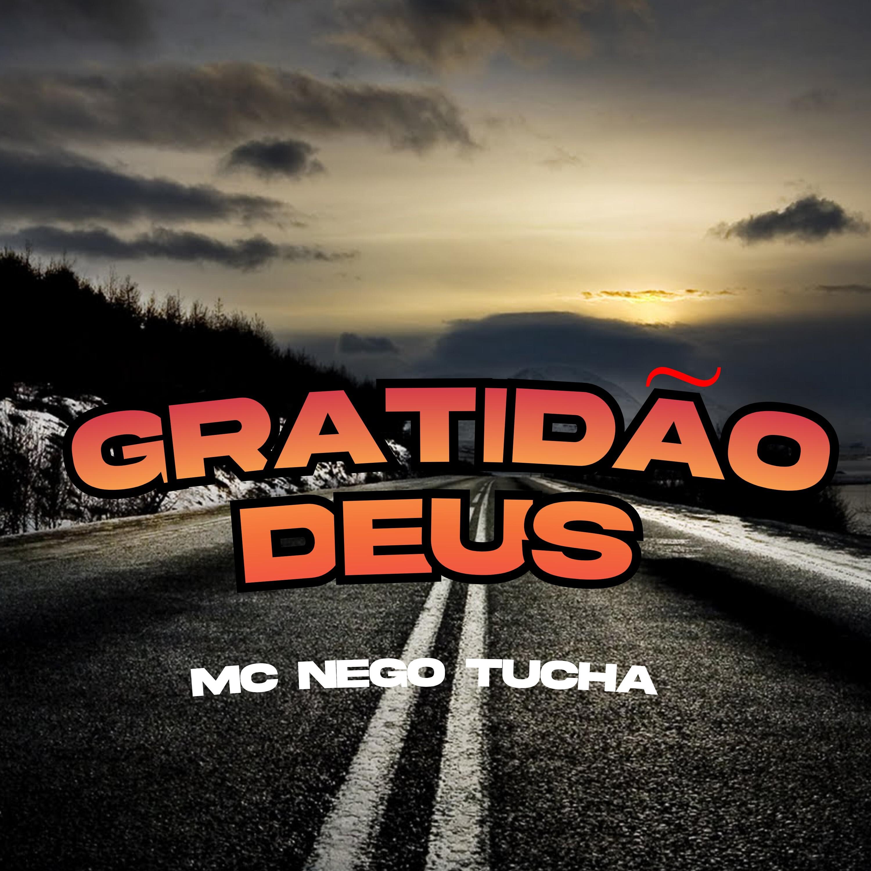 Постер альбома Gratidão Deus