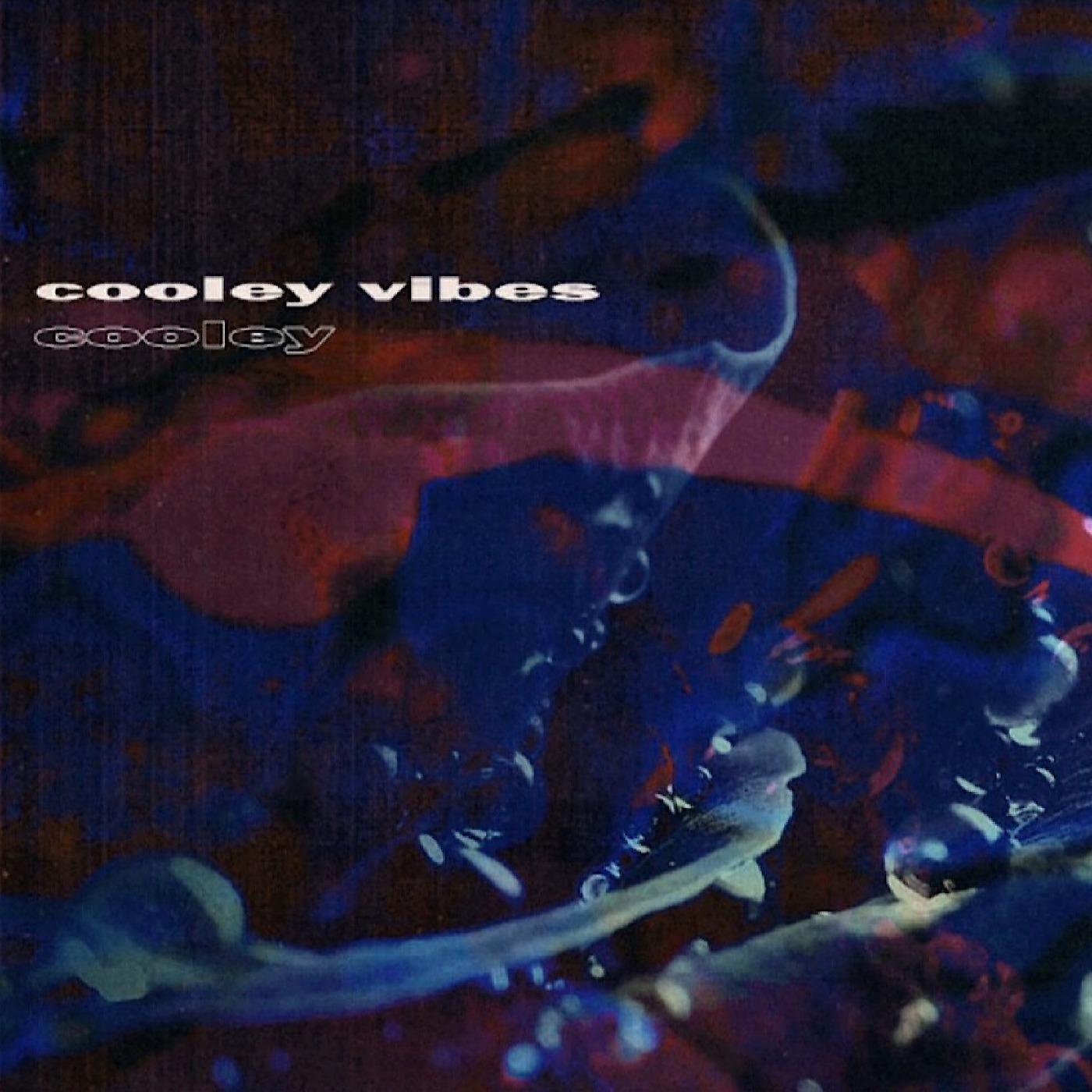 Постер альбома Cooley Vibes