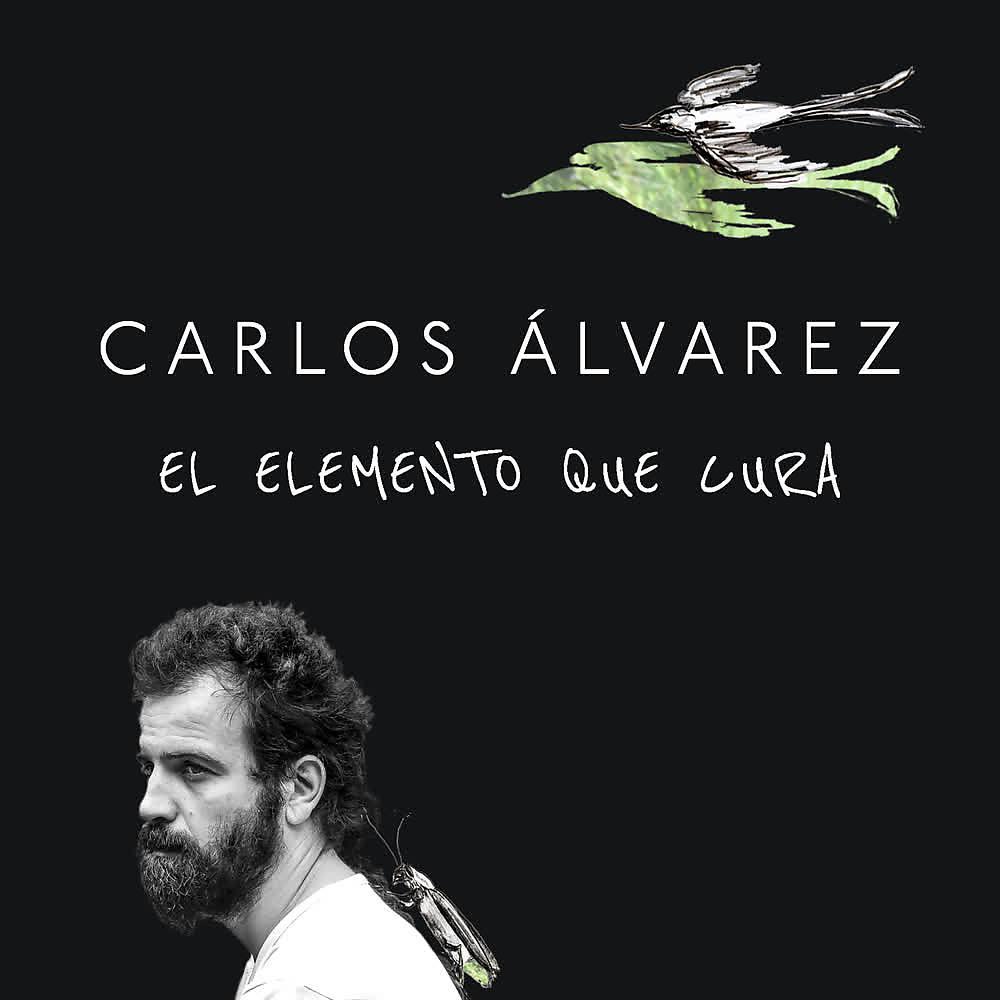 Постер альбома El Elemento Que Cura