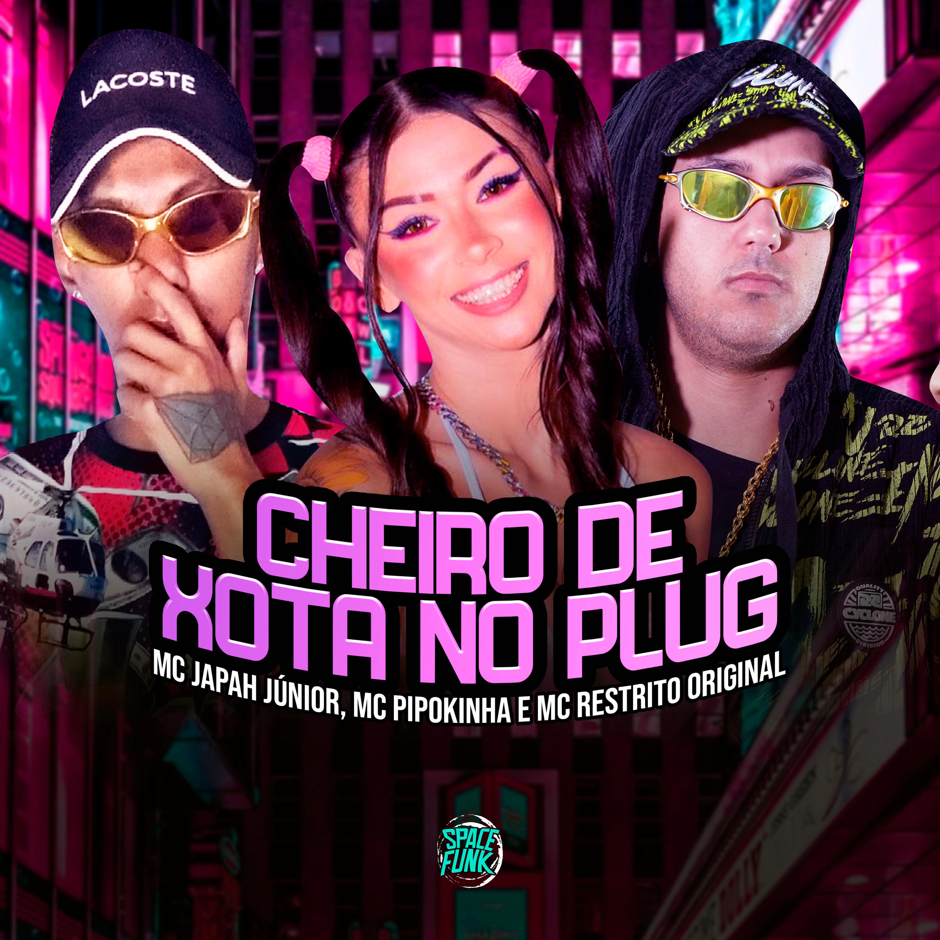 Постер альбома Cheiro de Xota no Plug
