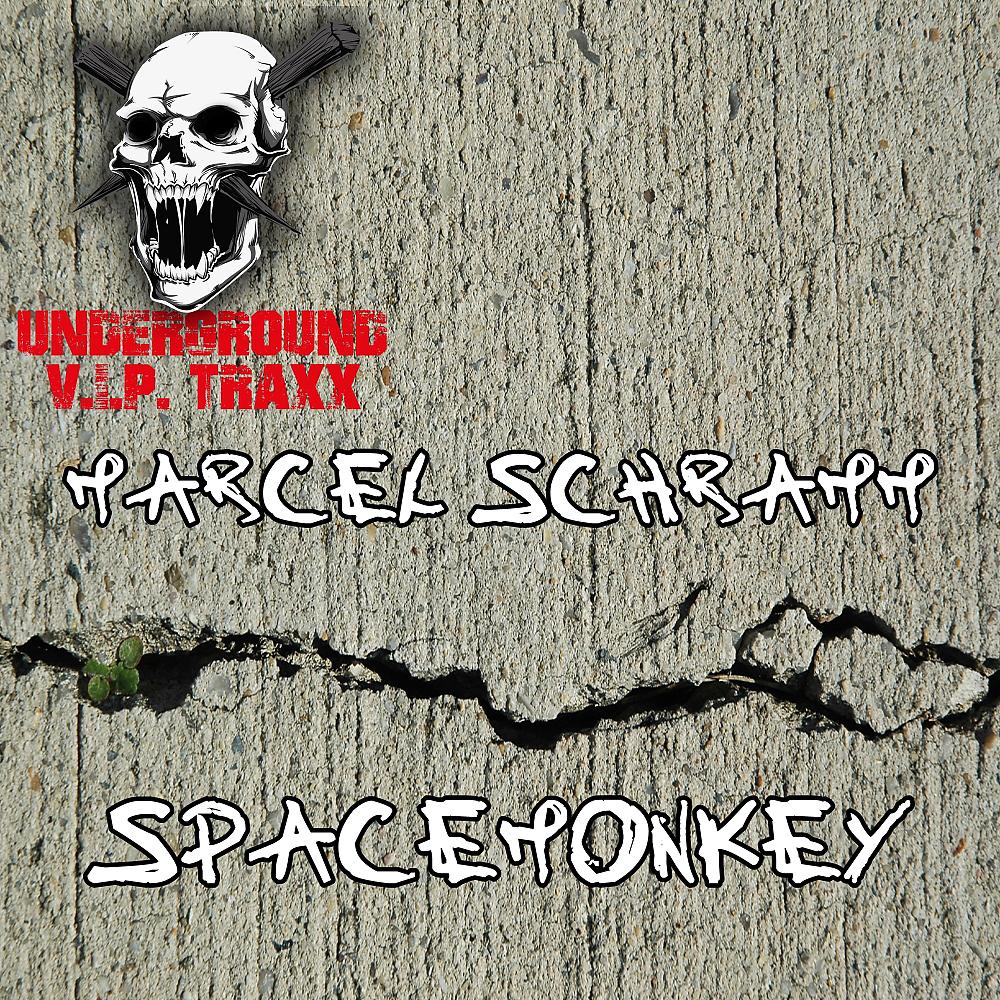 Постер альбома Spacemonkey