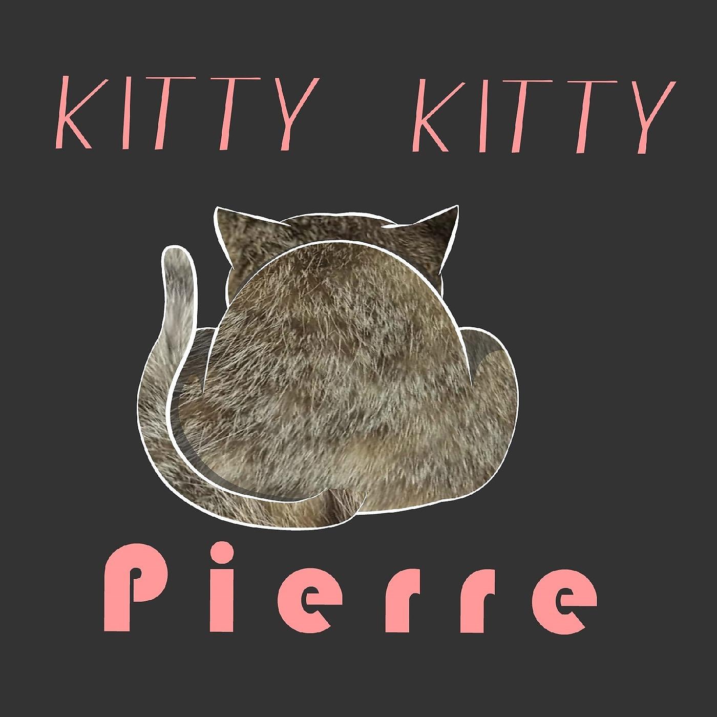 Постер альбома Kitty Kitty Pierre