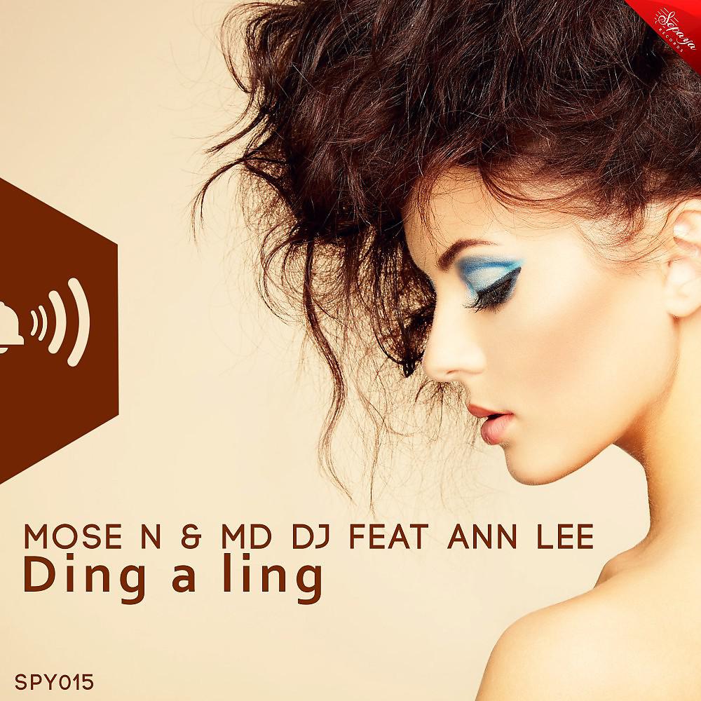 Постер альбома Ding a Ling (Original Mix)