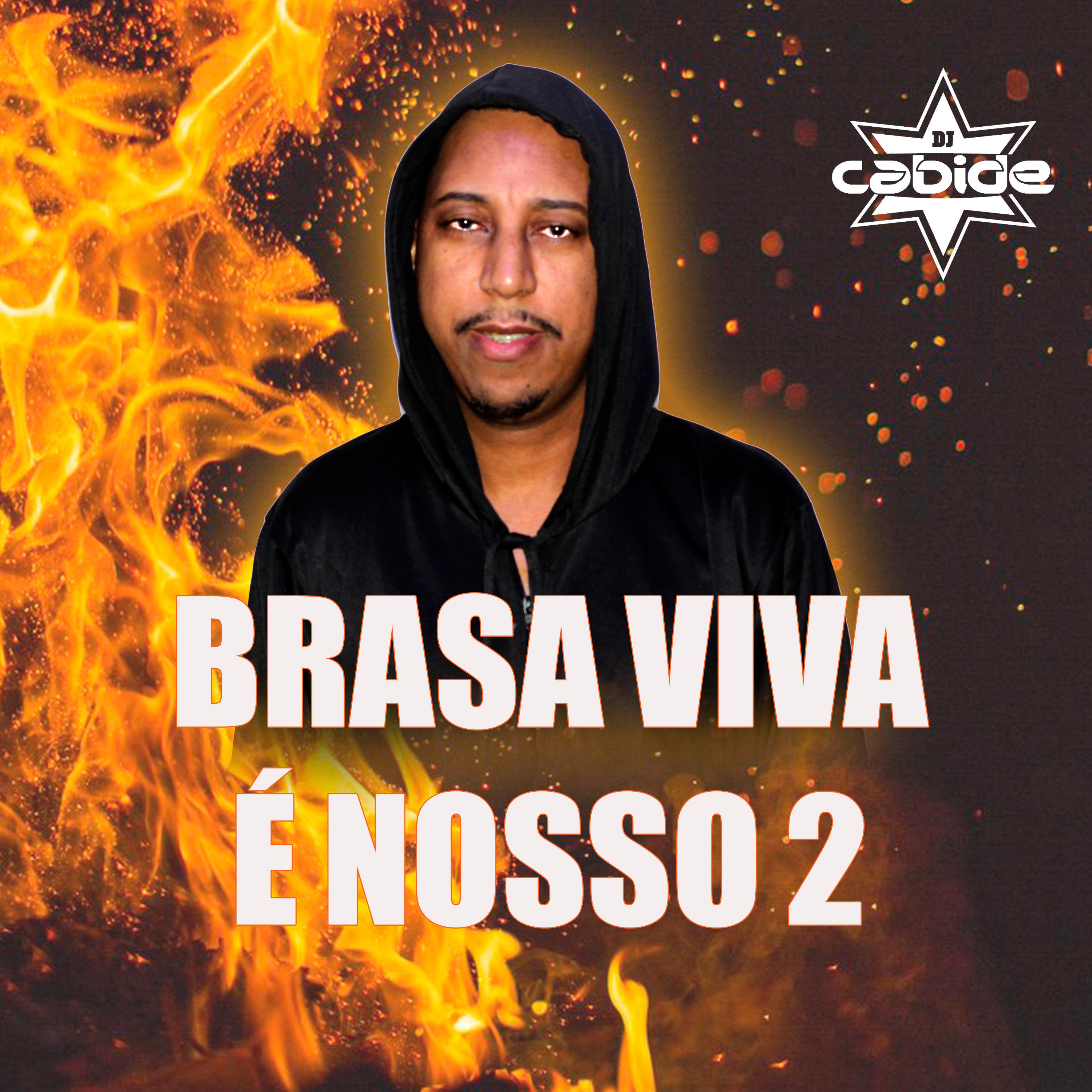Постер альбома Brasa Viva É Nosso 2