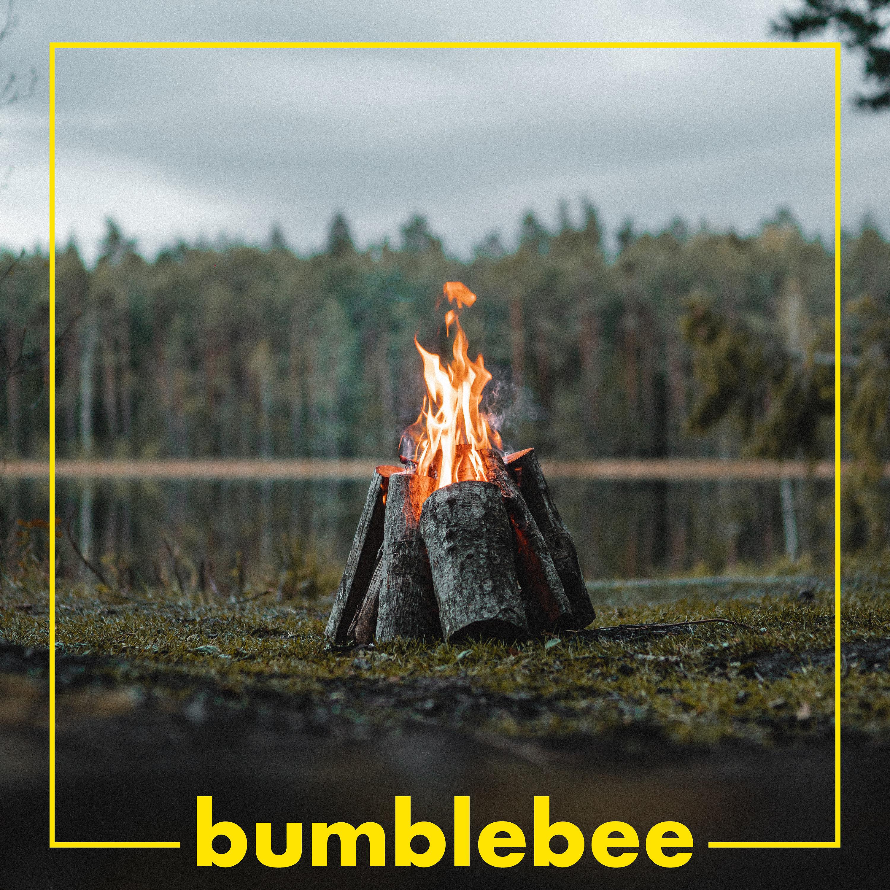 Постер альбома Bumblebee